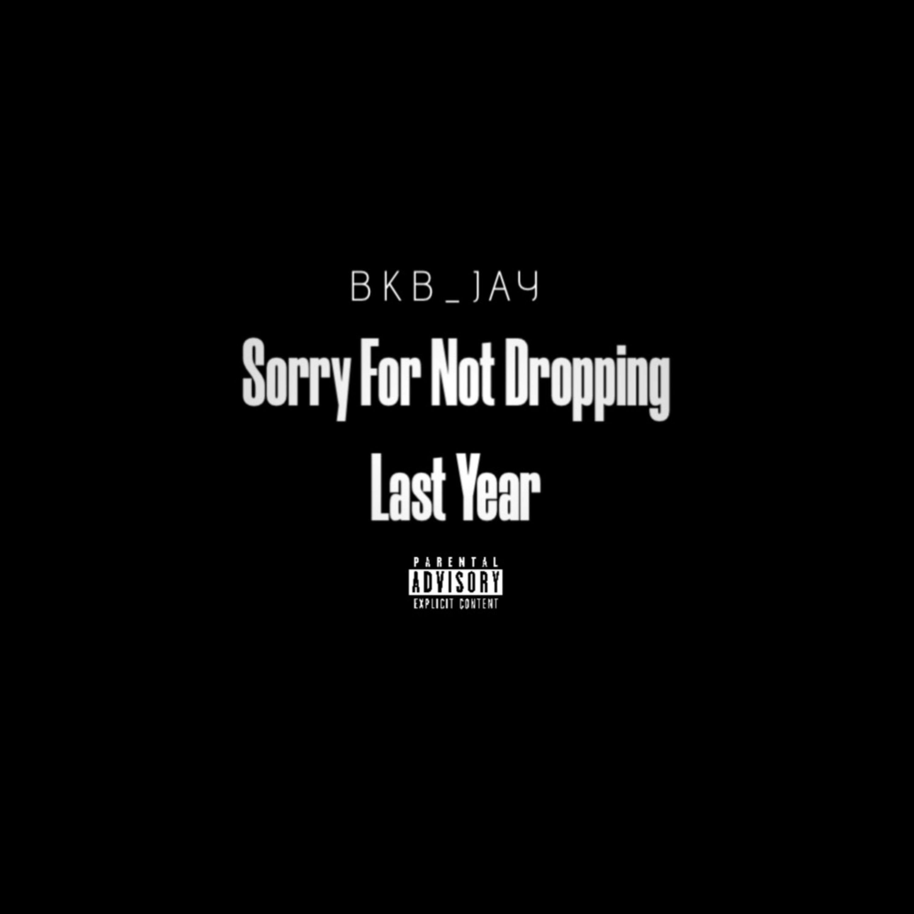 Sorry For Not Dropping Last Year artwork