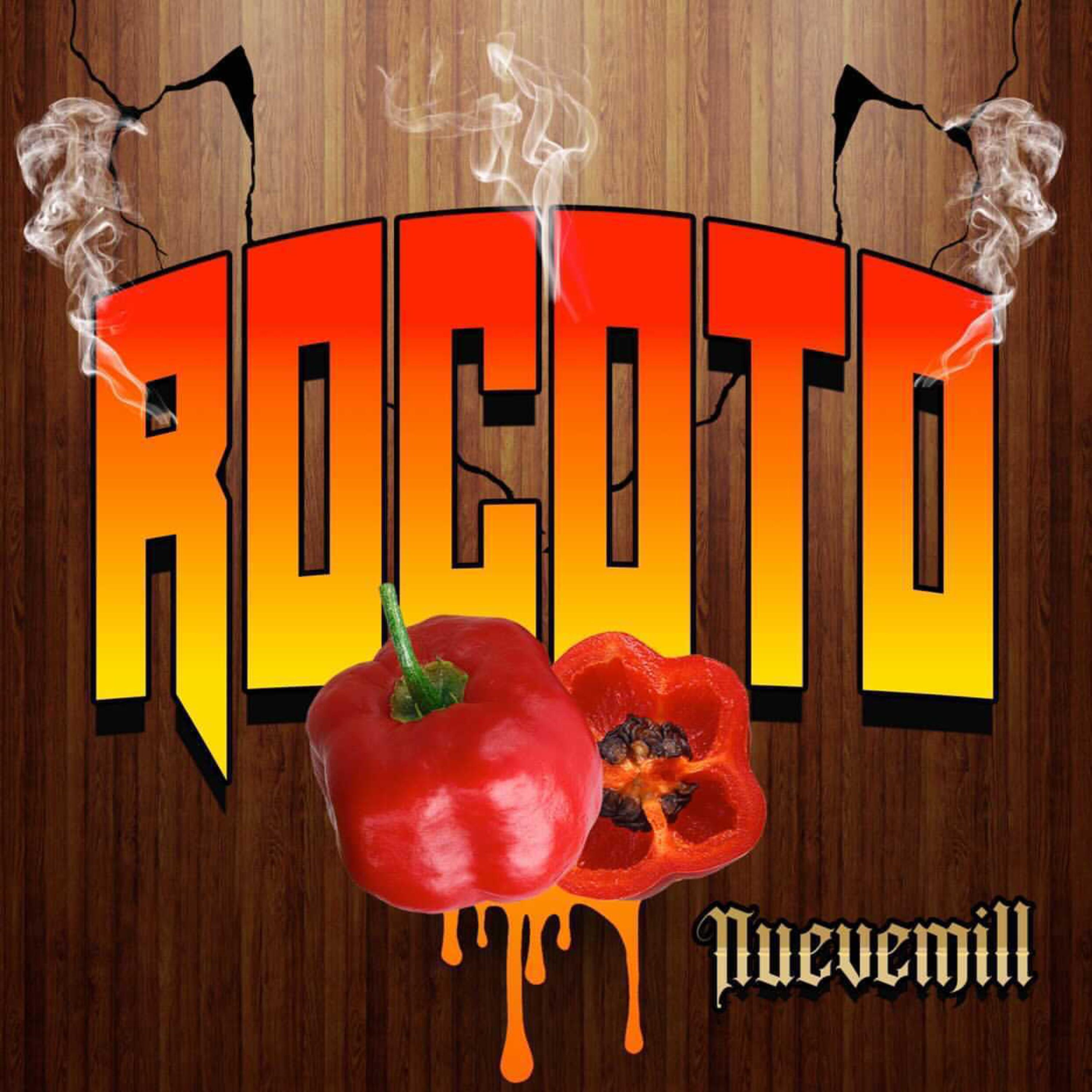 Rocoto artwork