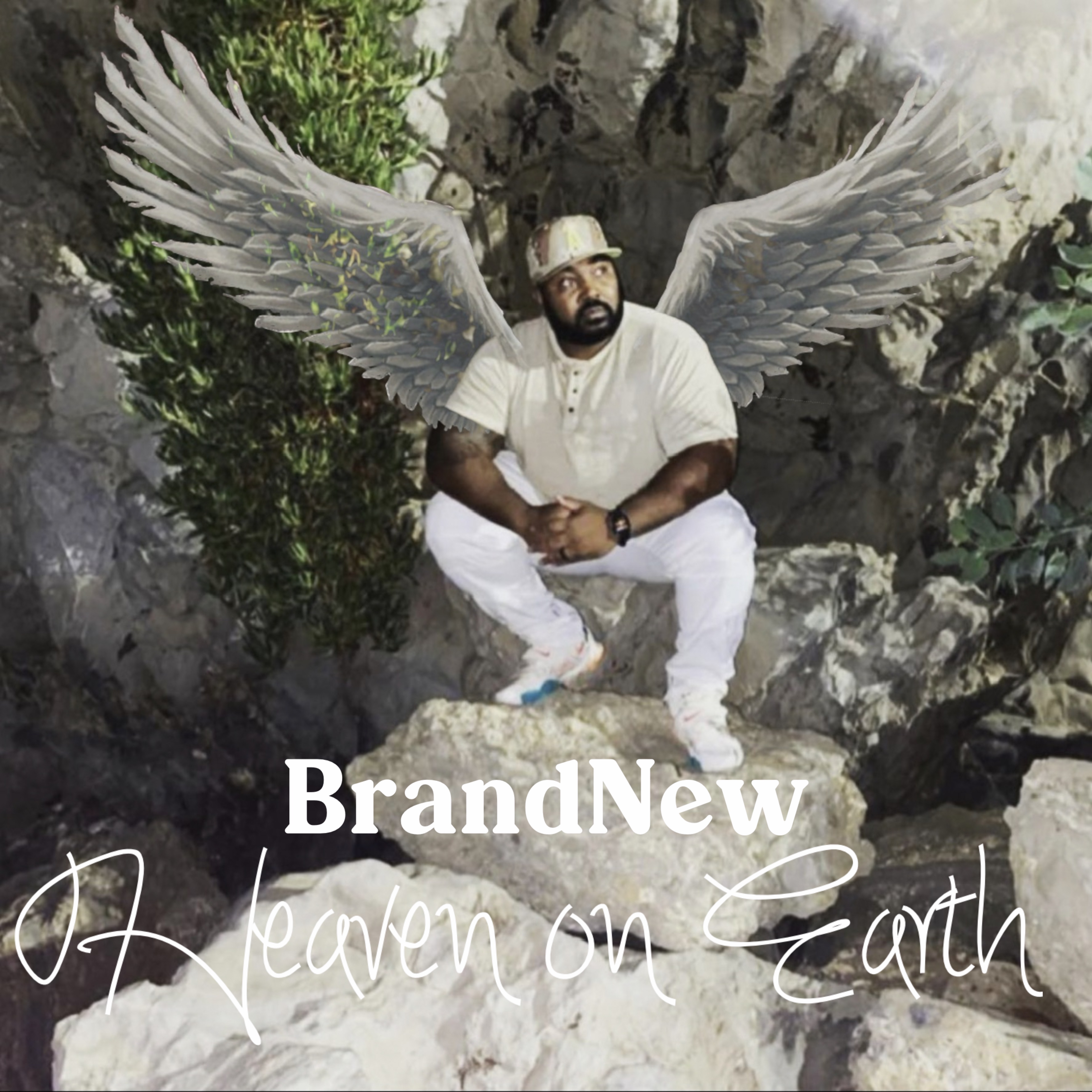 Heaven on Earth by Brand New cover art