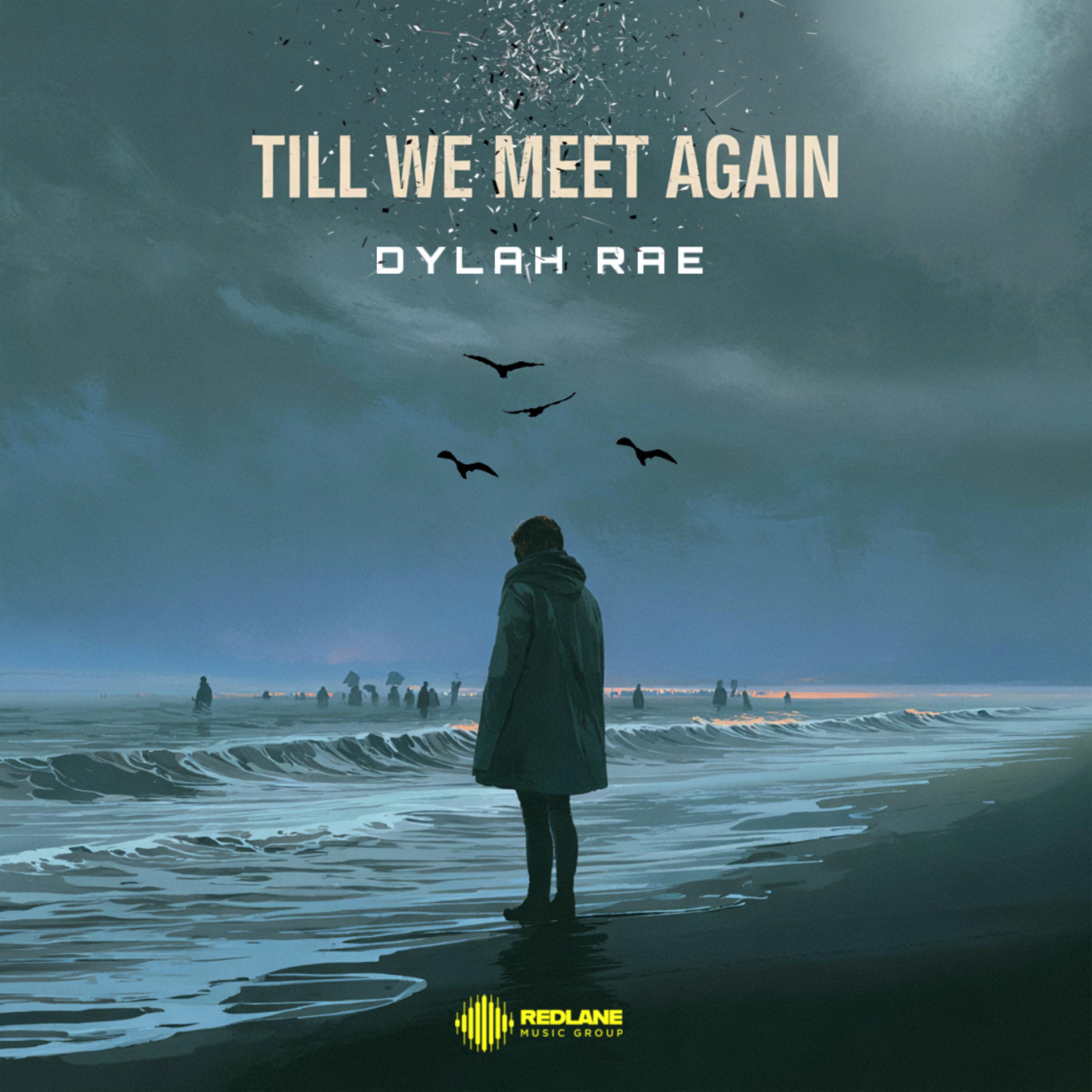 Till We Meet Again artwork