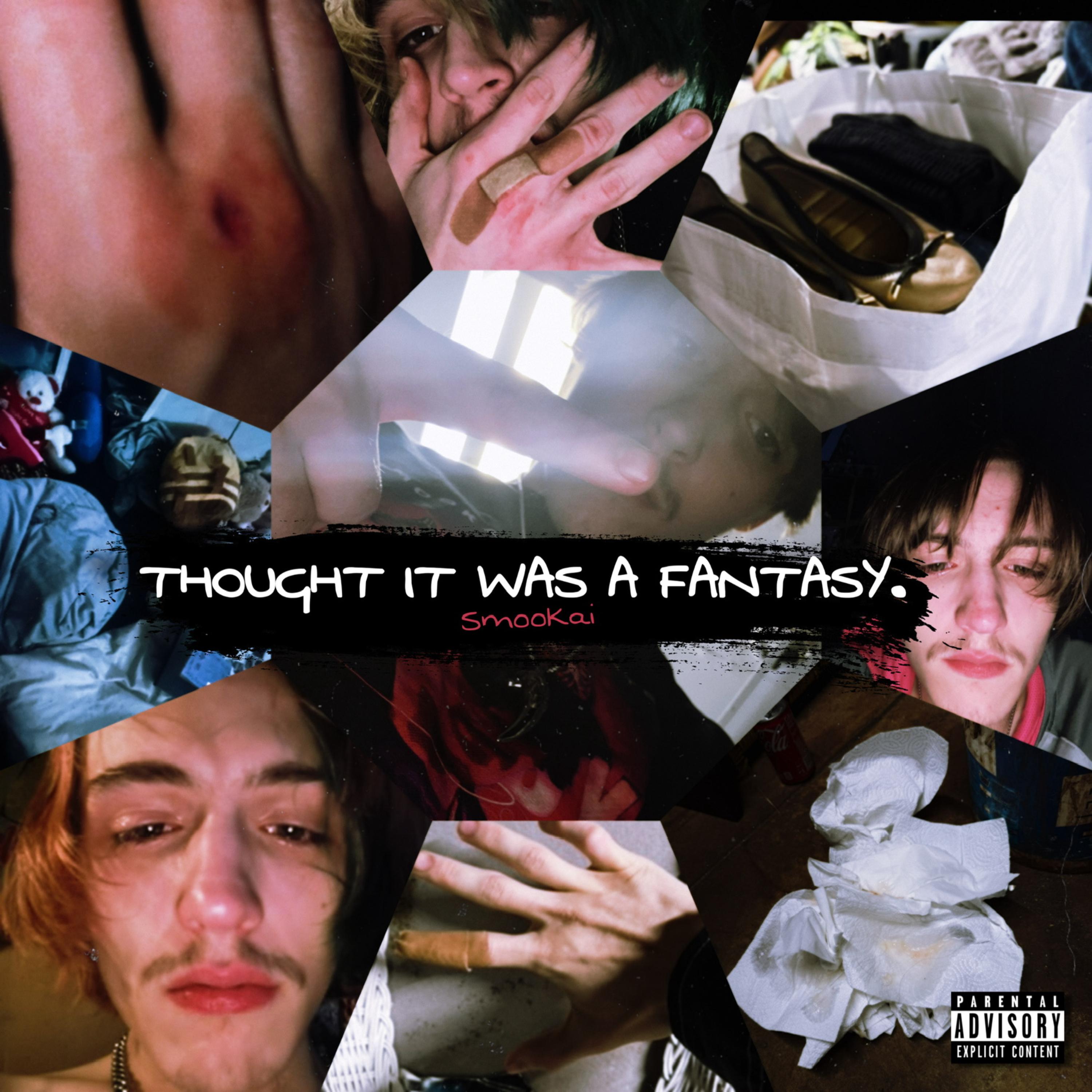 THOUGHT IT WAS A FANTASY. artwork