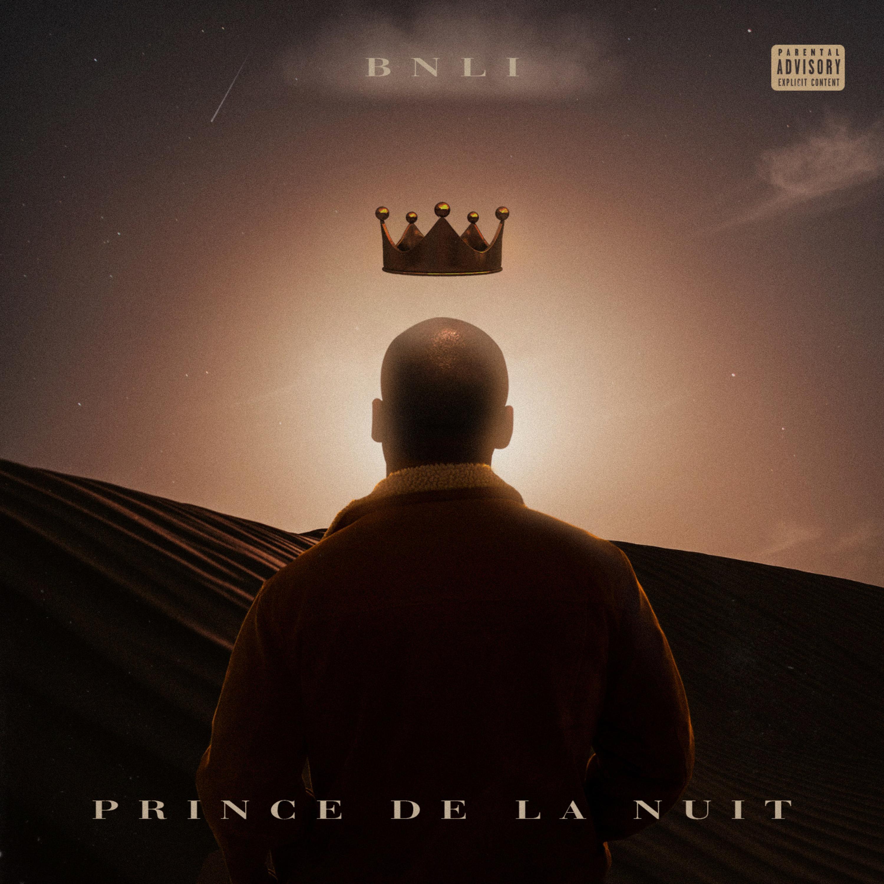Prince De La Nuit artwork
