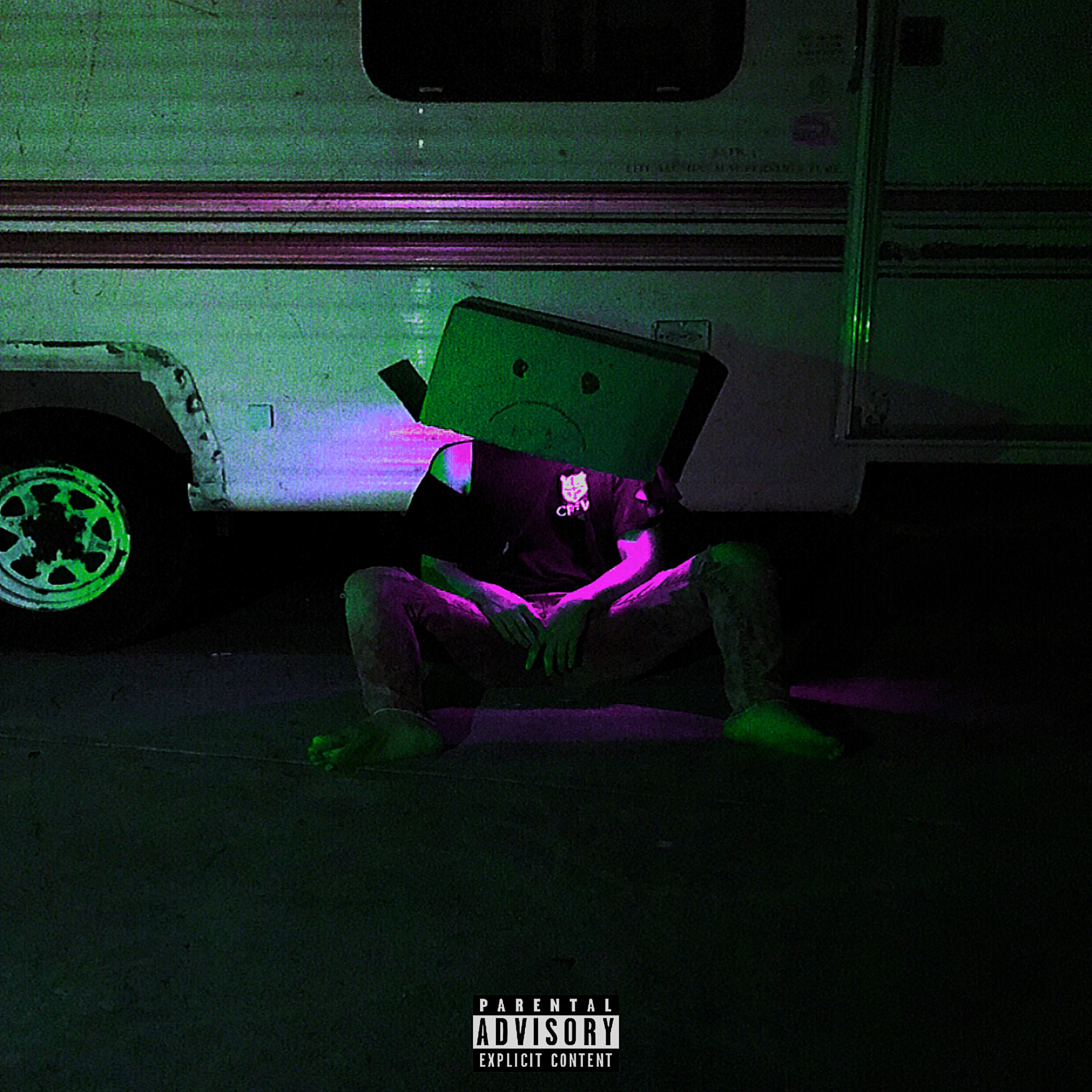 The Stray Boy artwork