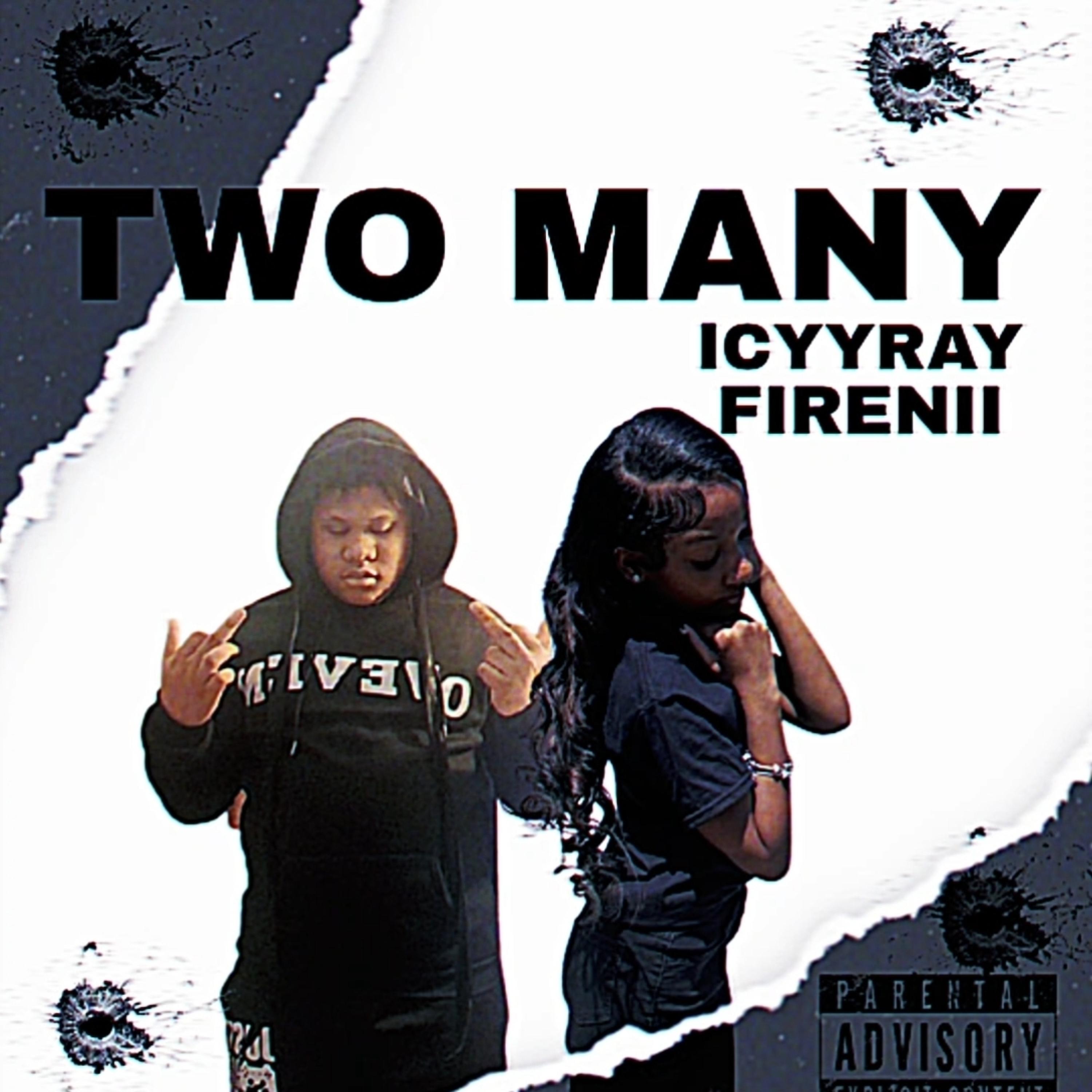 TWO MANY artwork