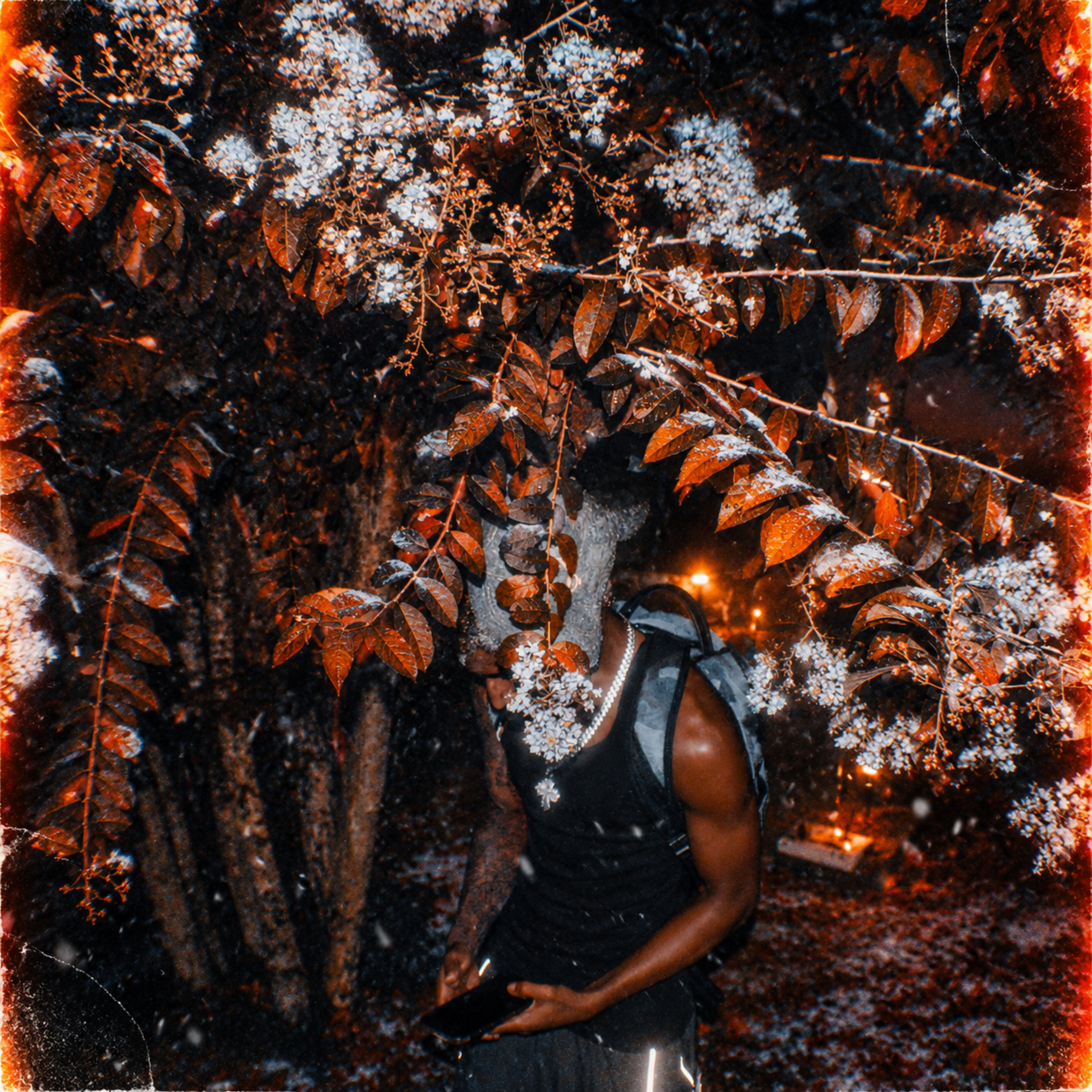 Jhames (Deluxe) by Trajan cover art