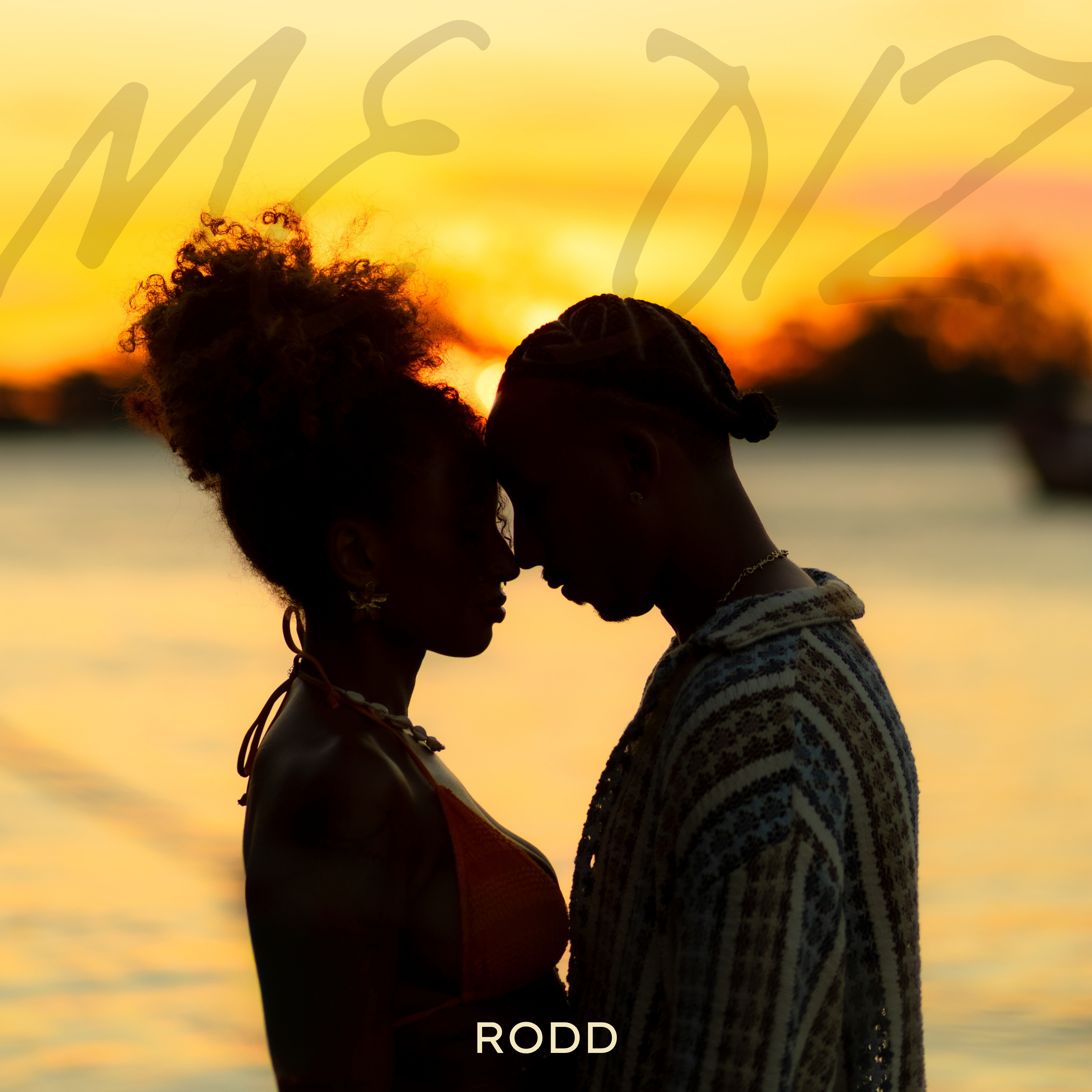 ME DIZ by Rodd cover art