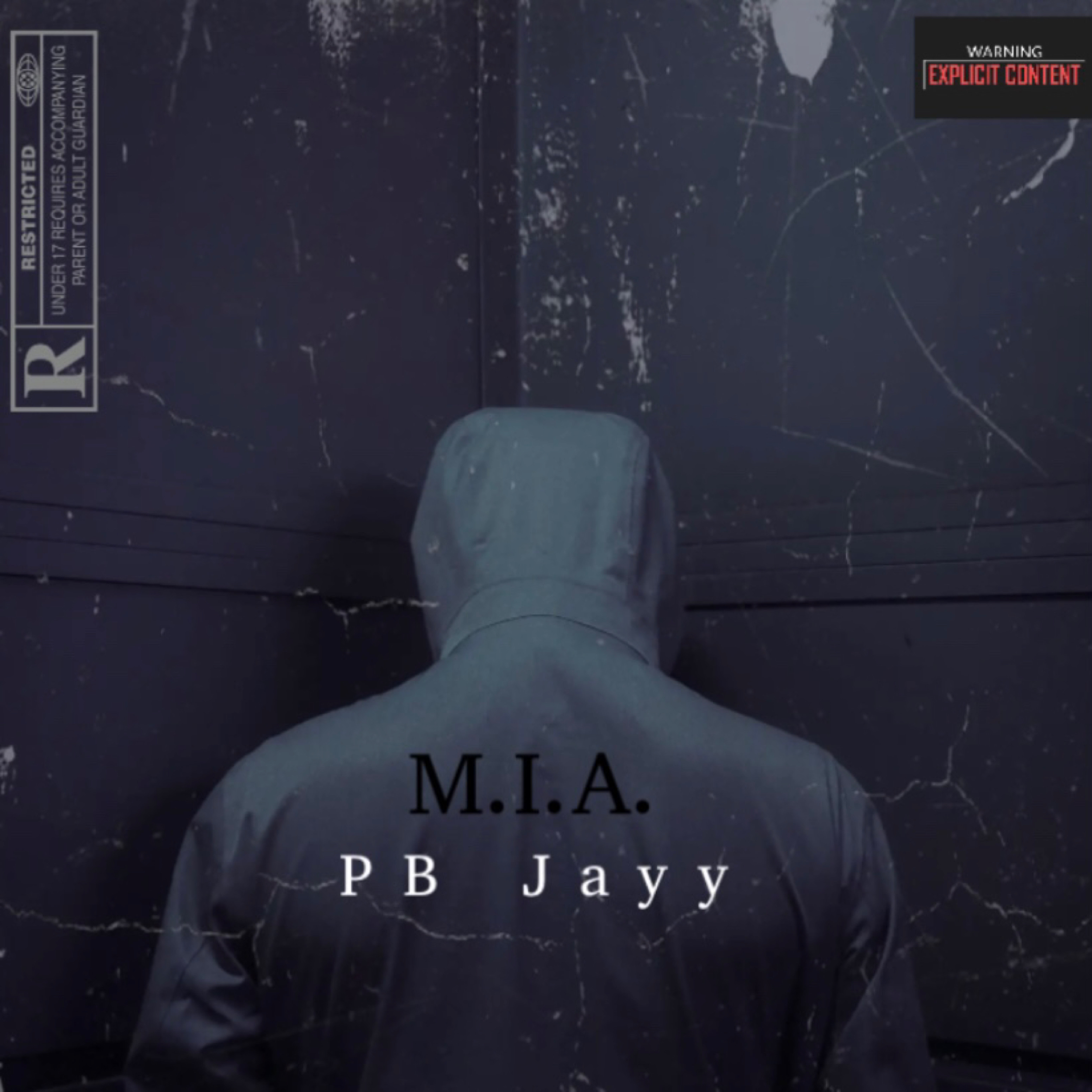 M.I.A. artwork