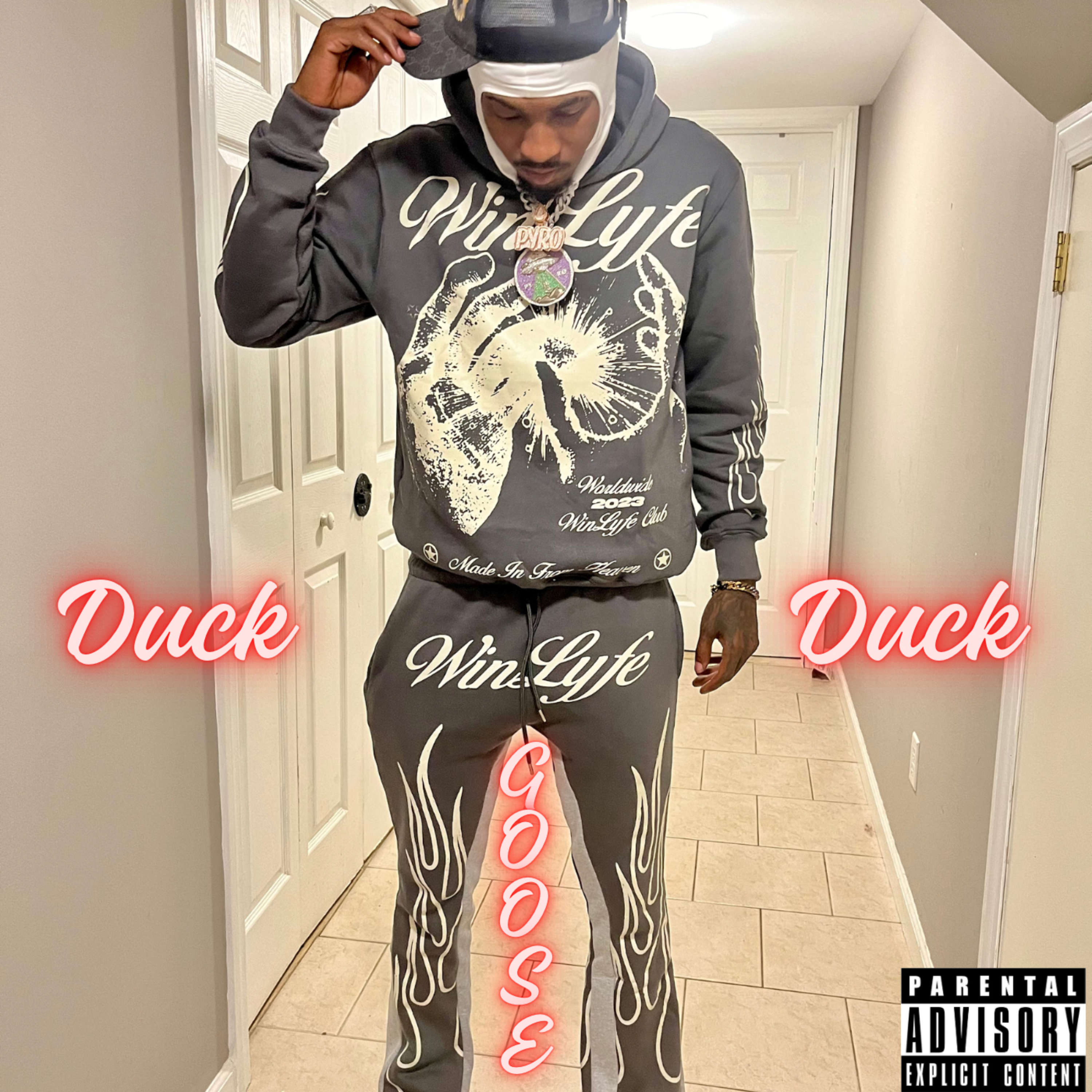 Duck Duck Goose artwork