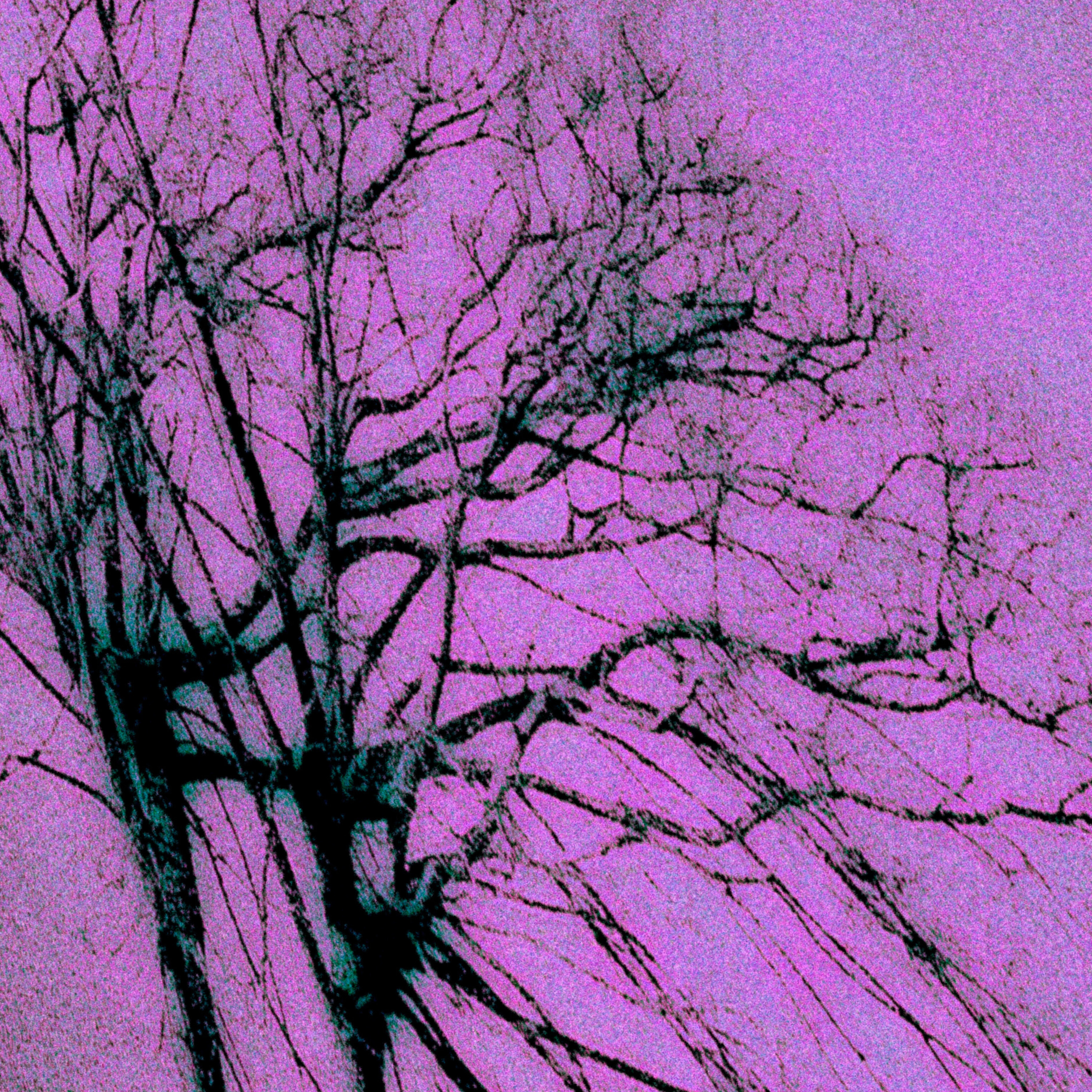 7 artwork