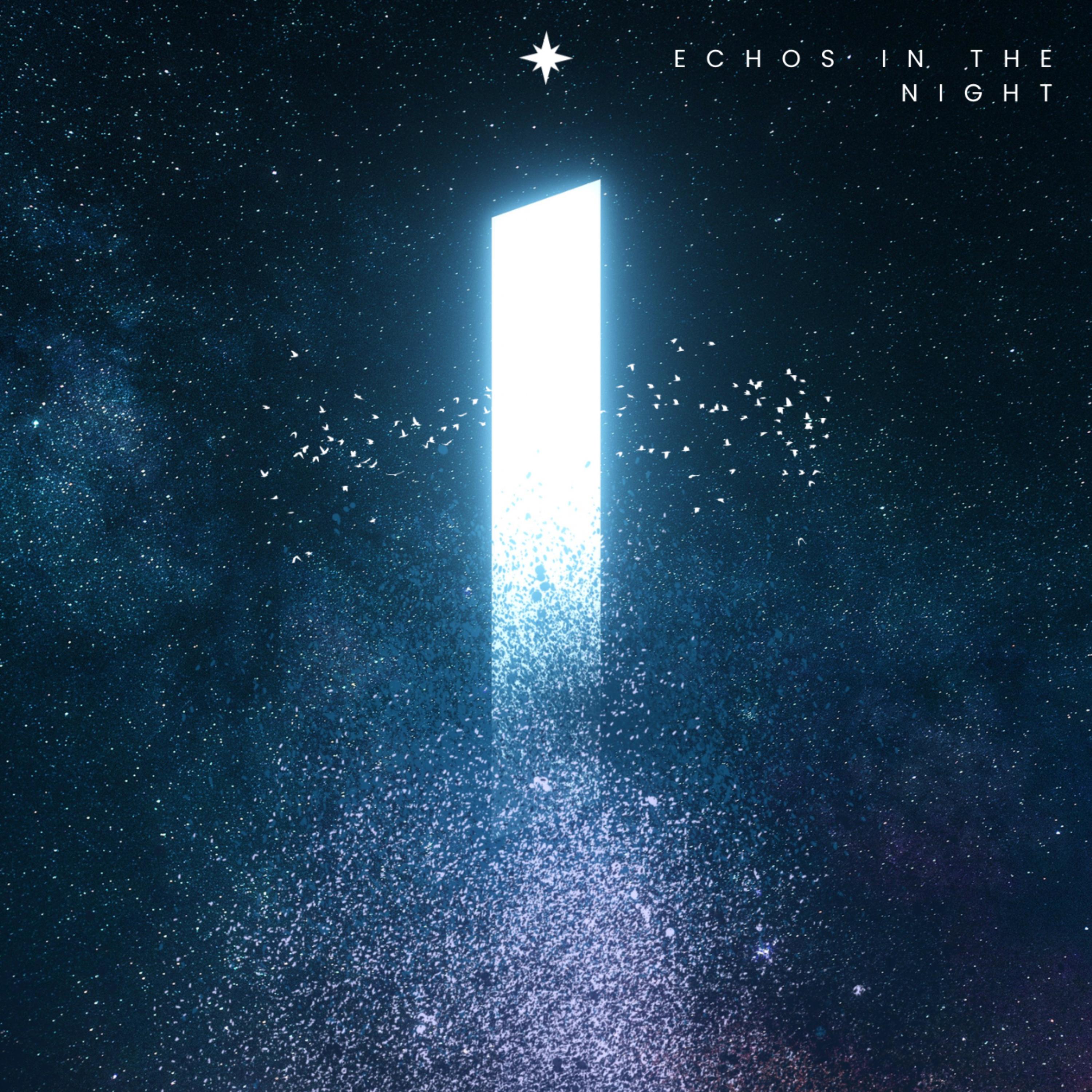 Echos in the night artwork