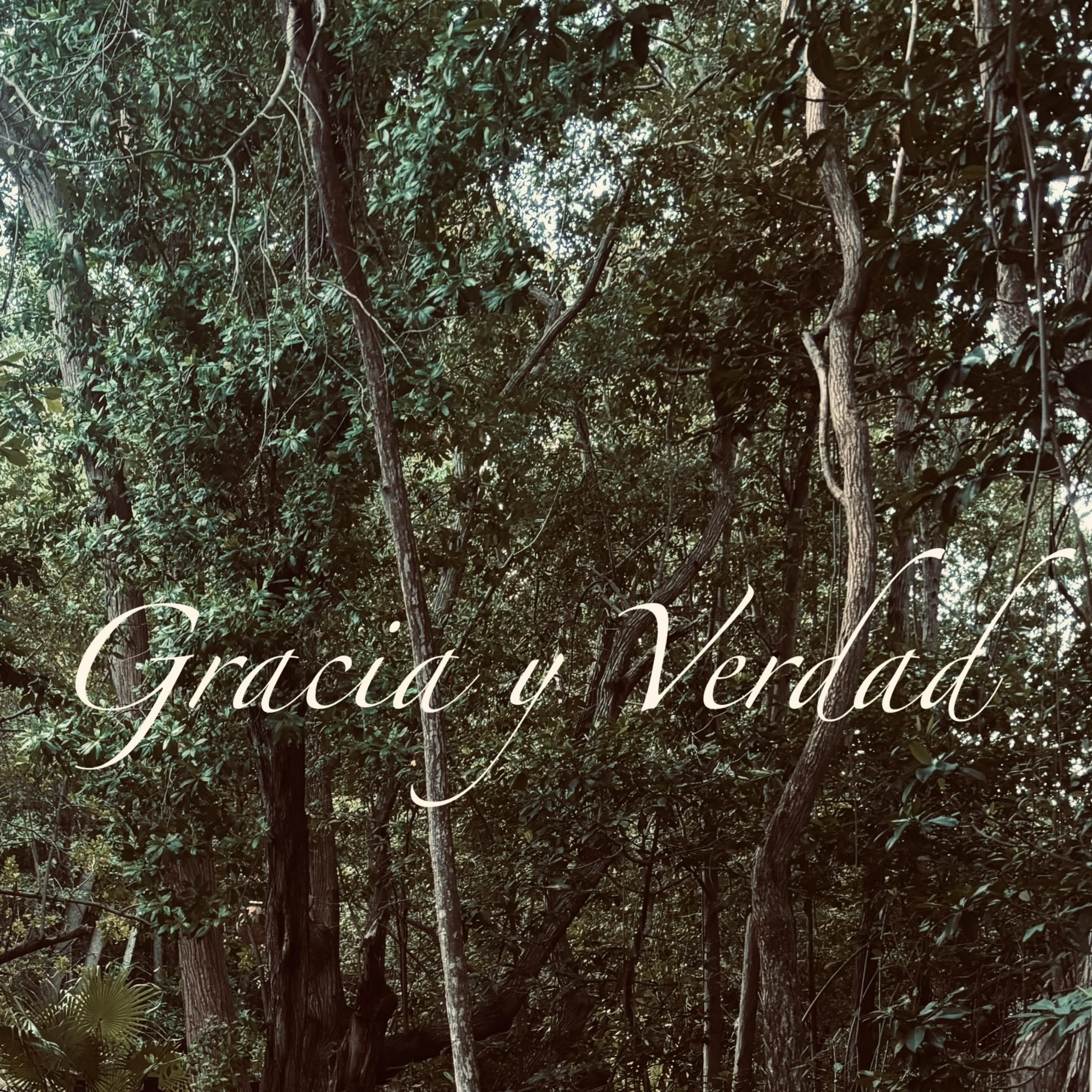 Gracia y Verdad artwork