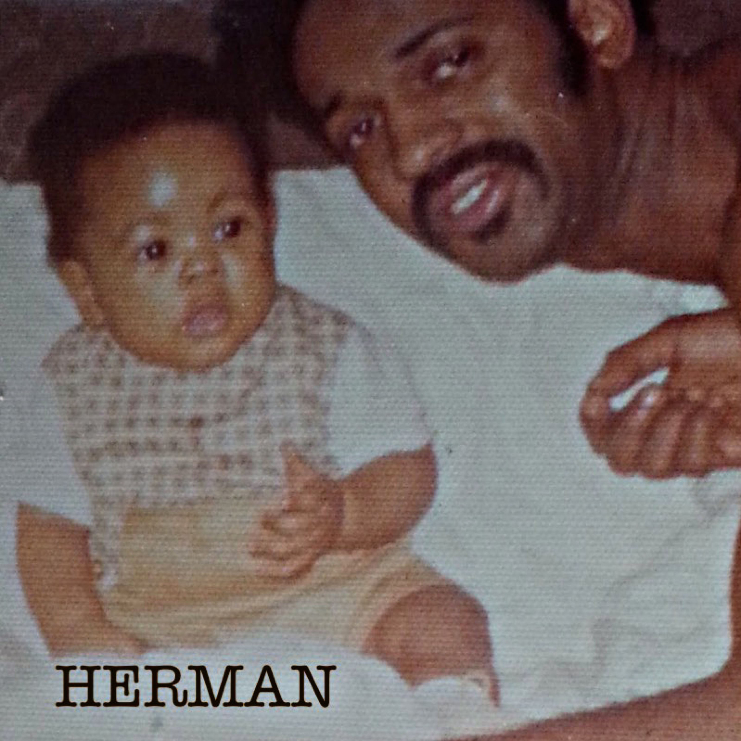 HERMAN artwork