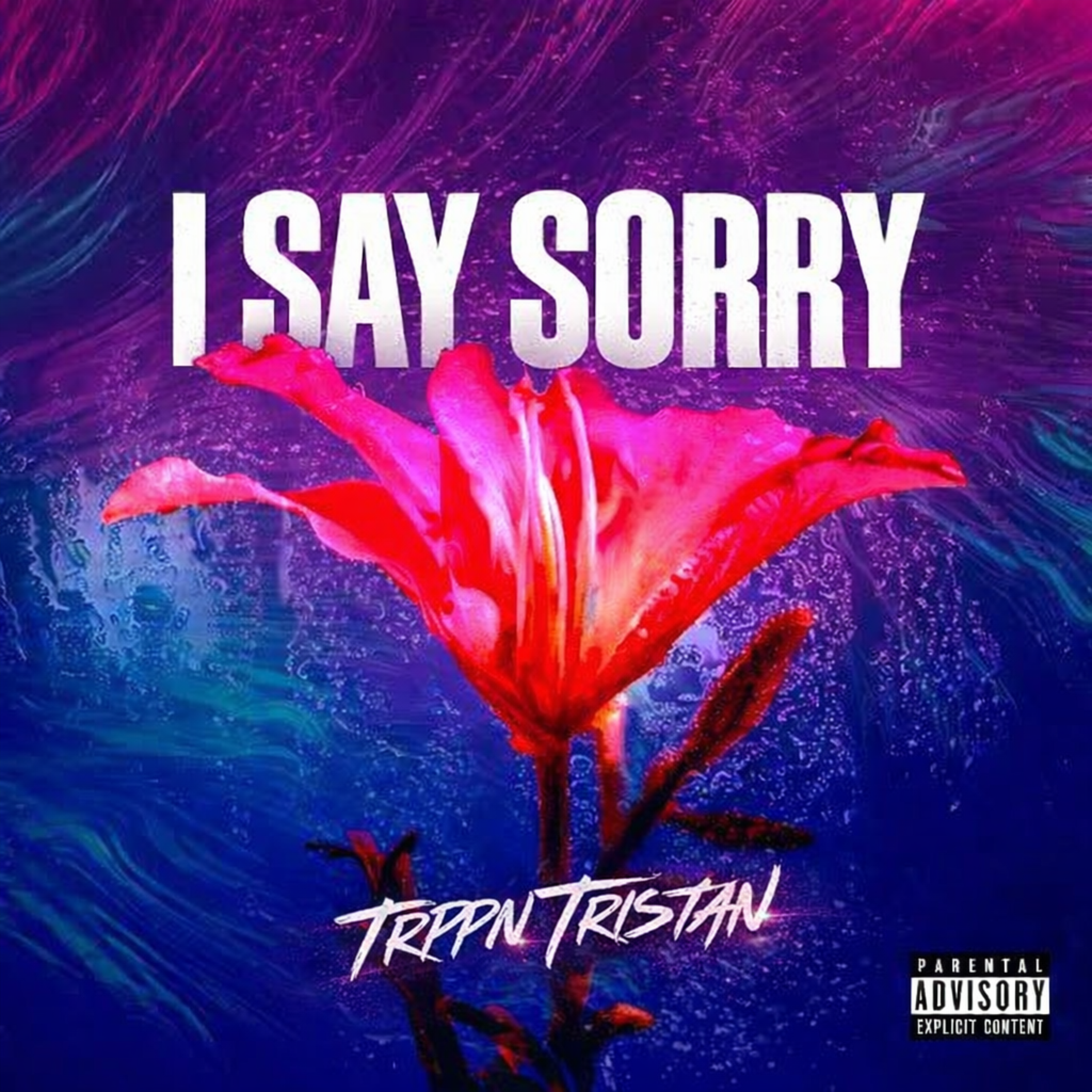 I Say Sorry artwork