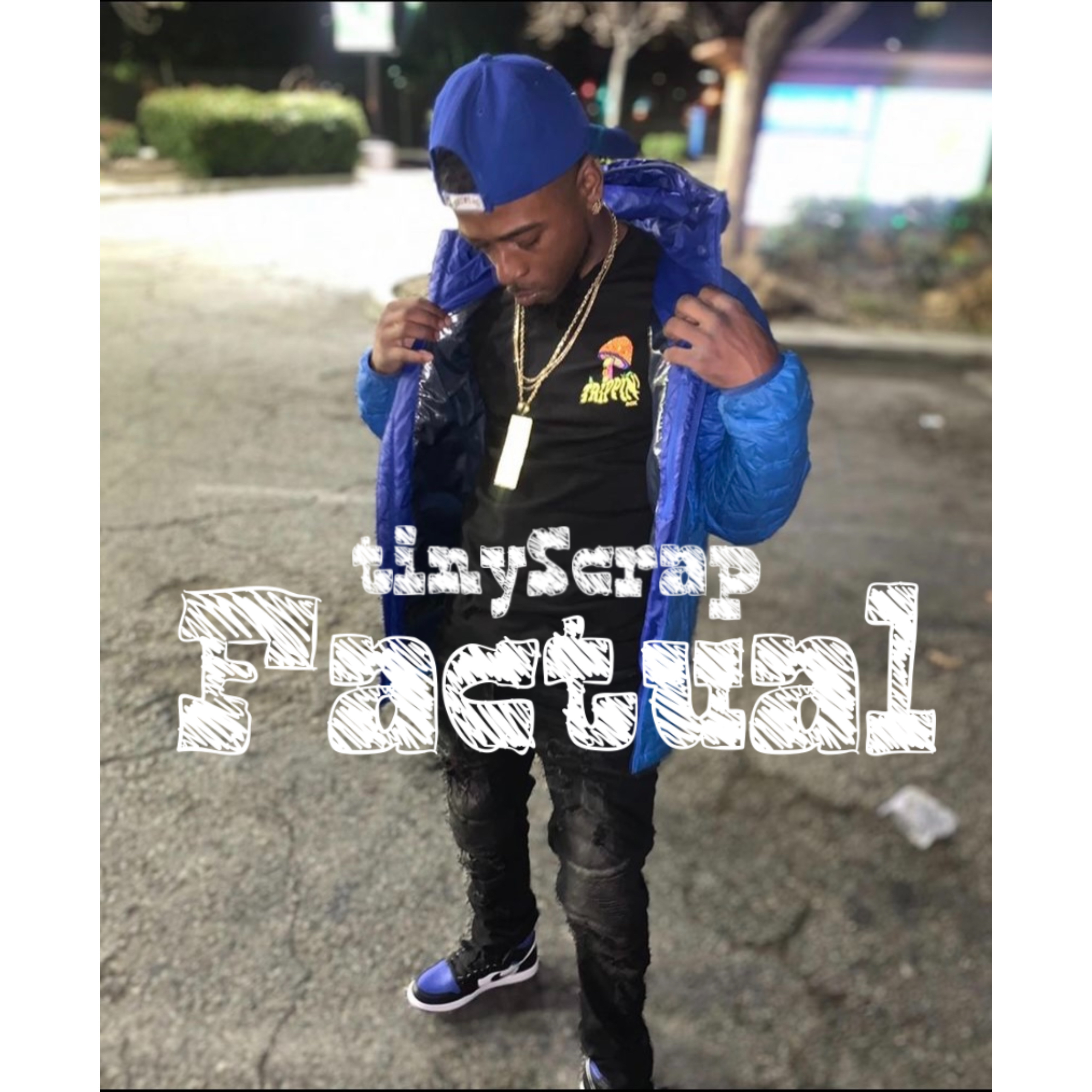 Factual artwork