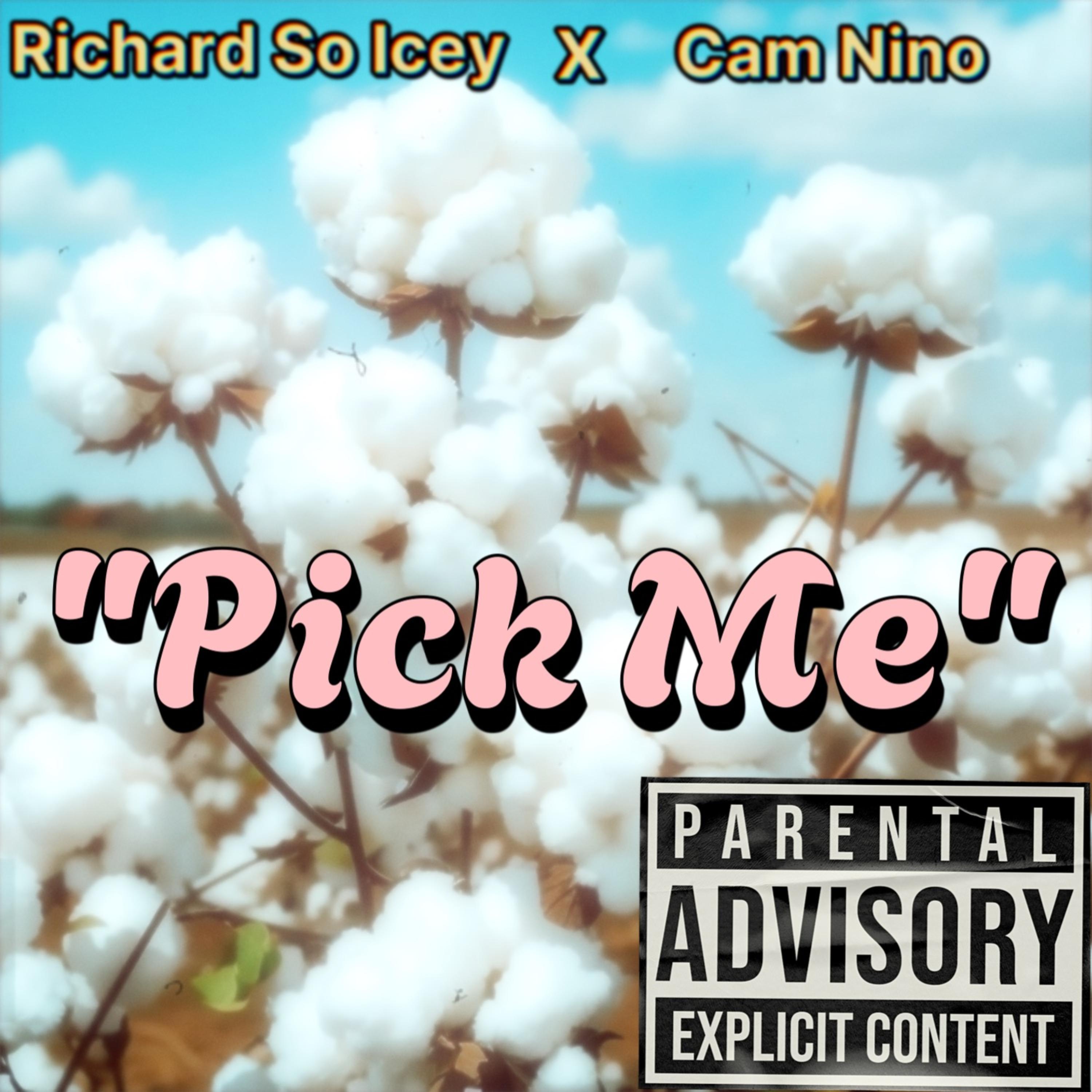 Pick me artwork