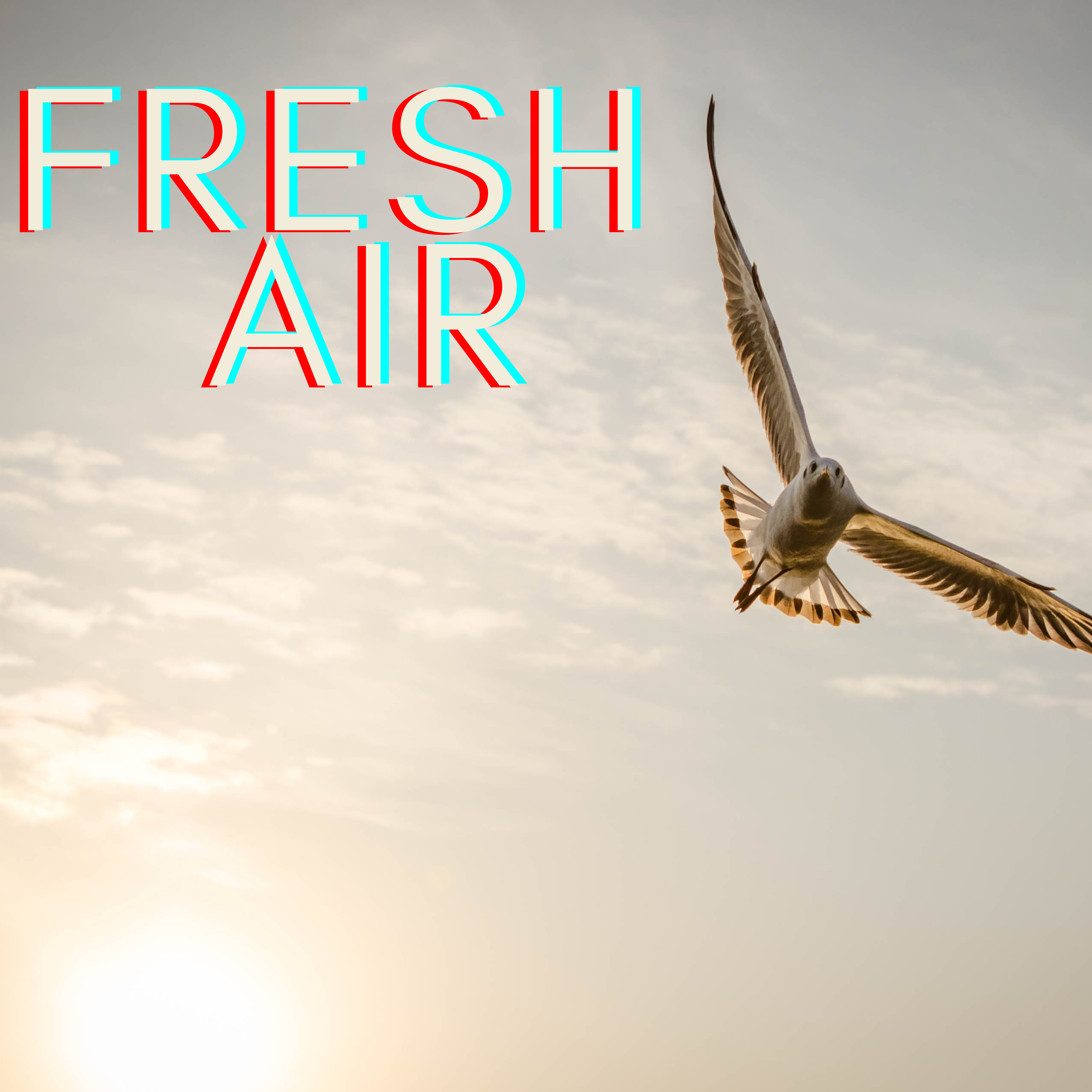 FRESH AIR artwork