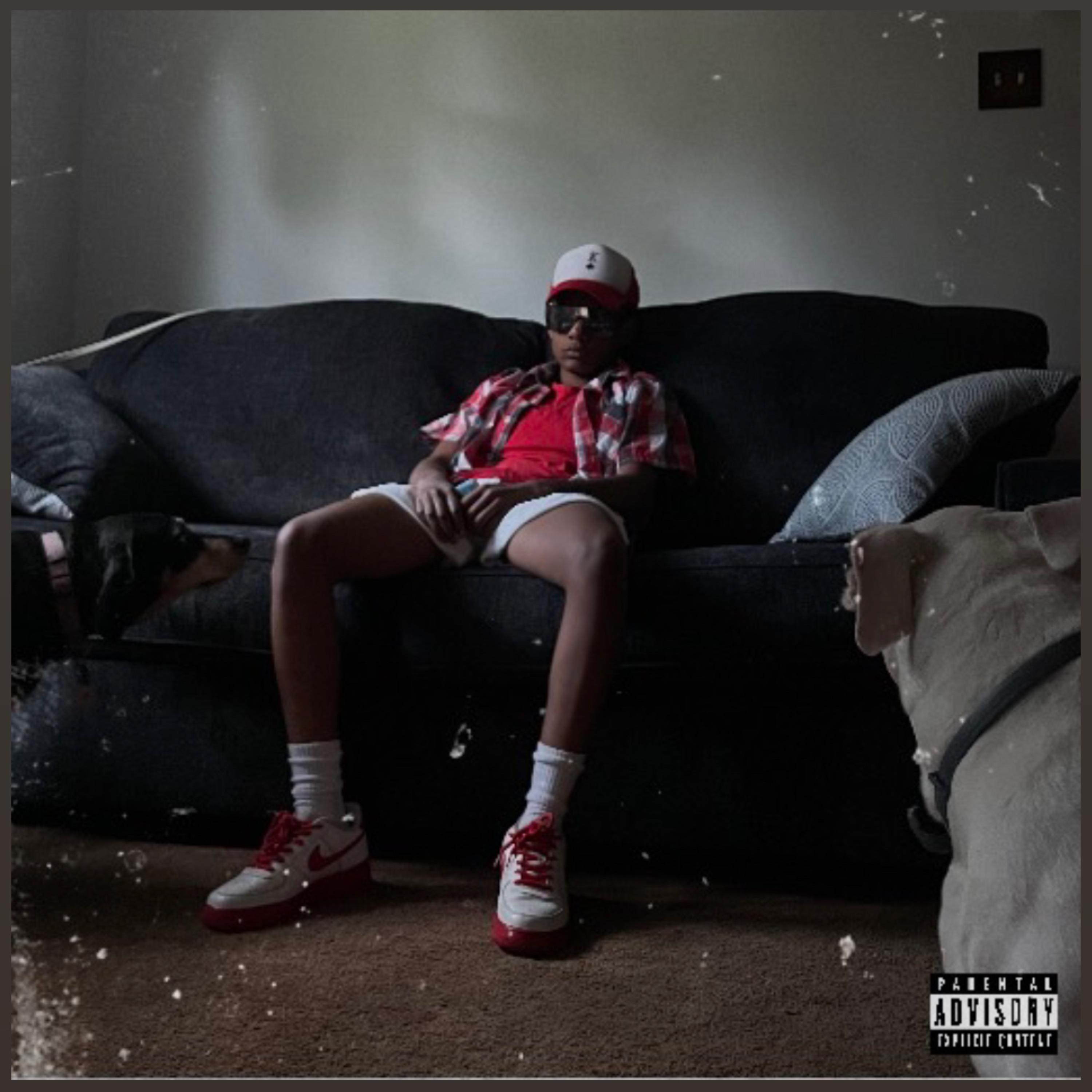 Bump artwork