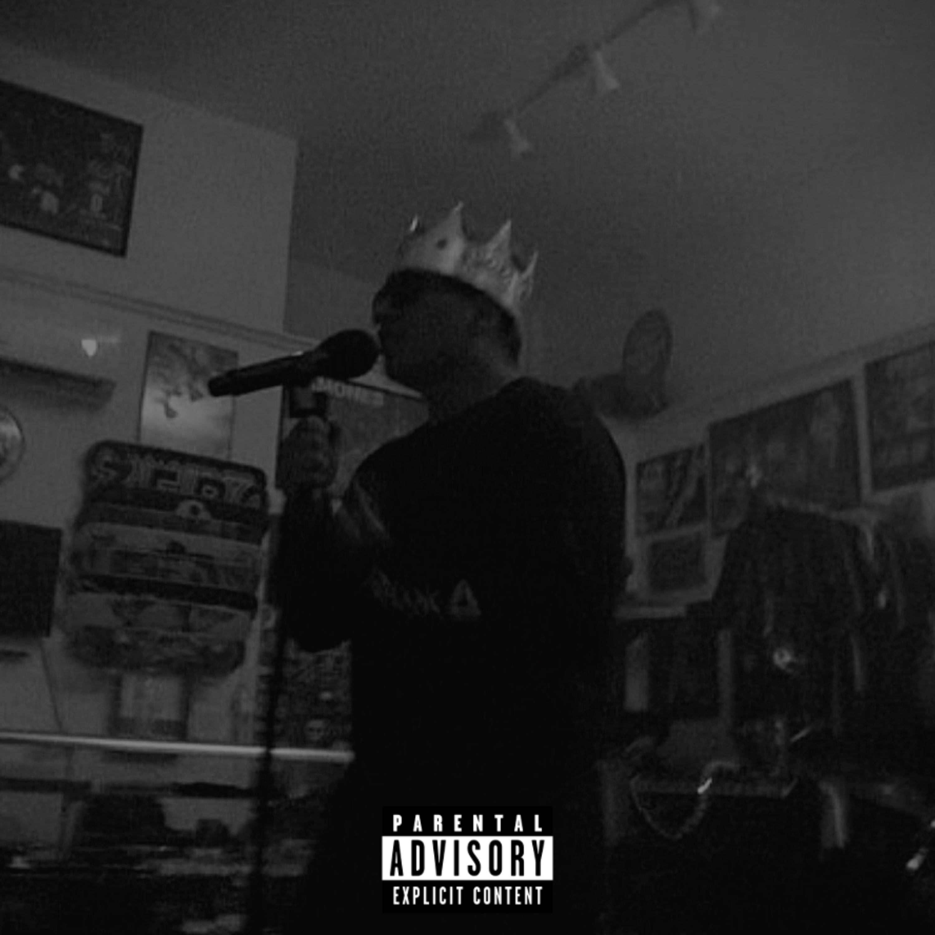 King Of The Mic artwork