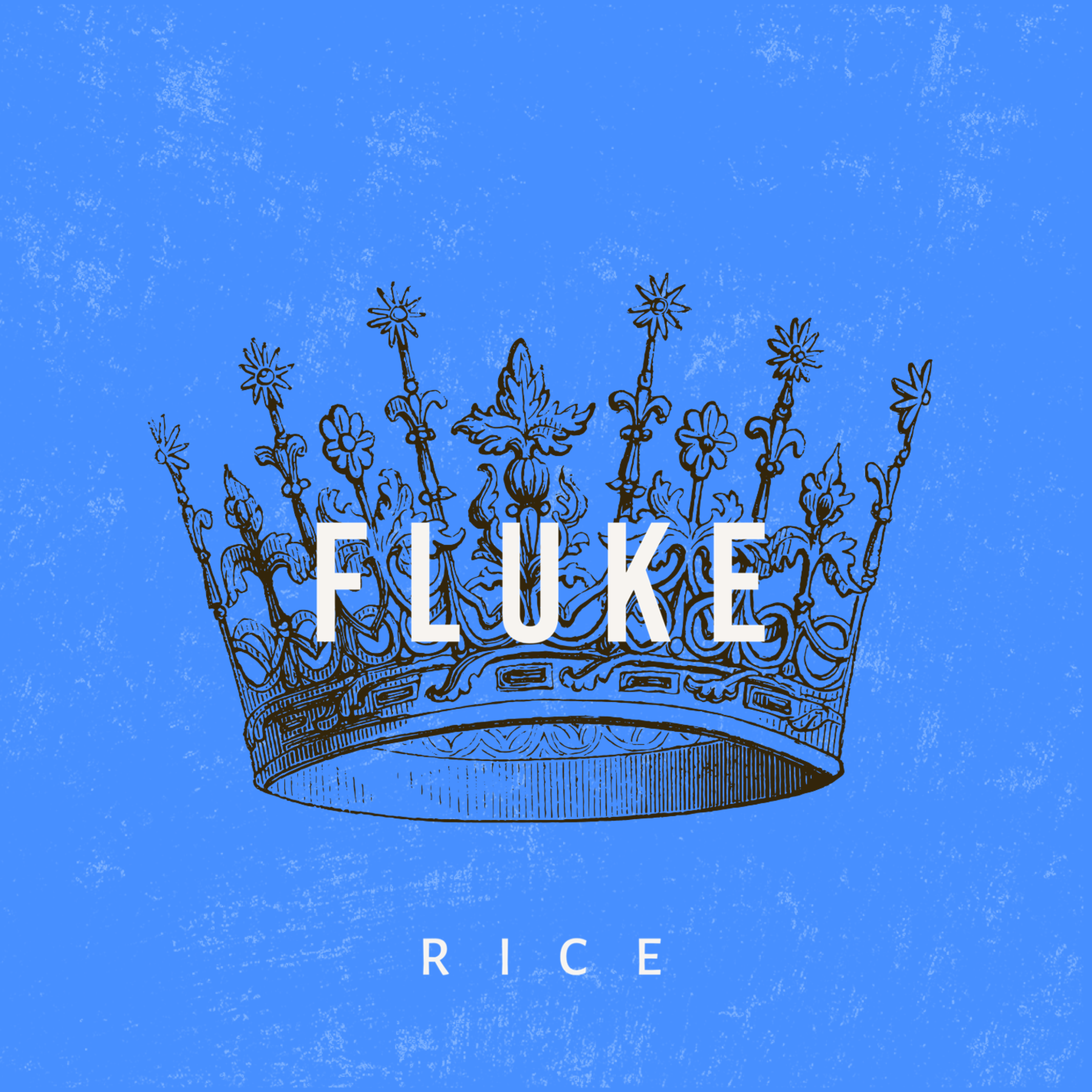 Fluke artwork