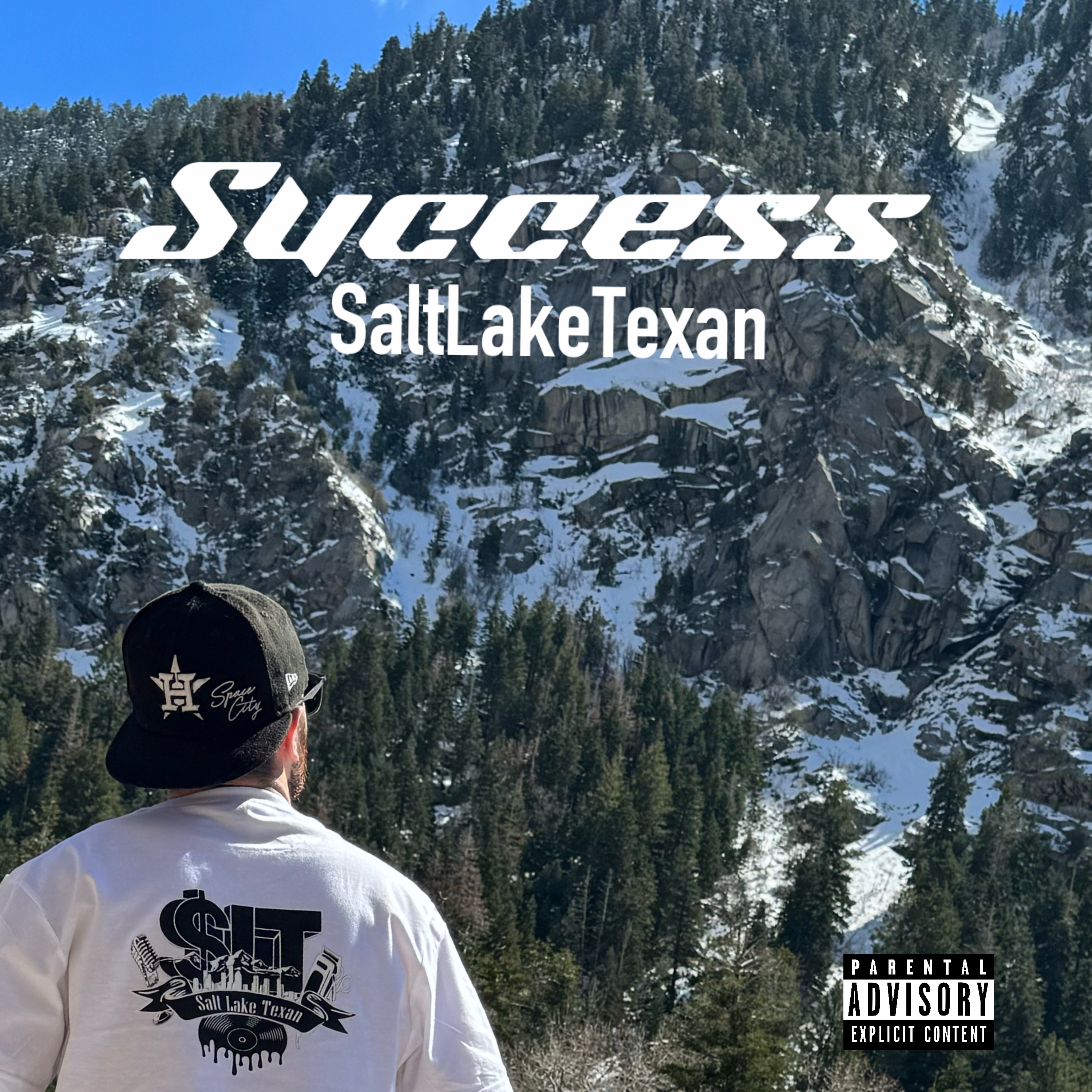 Success artwork