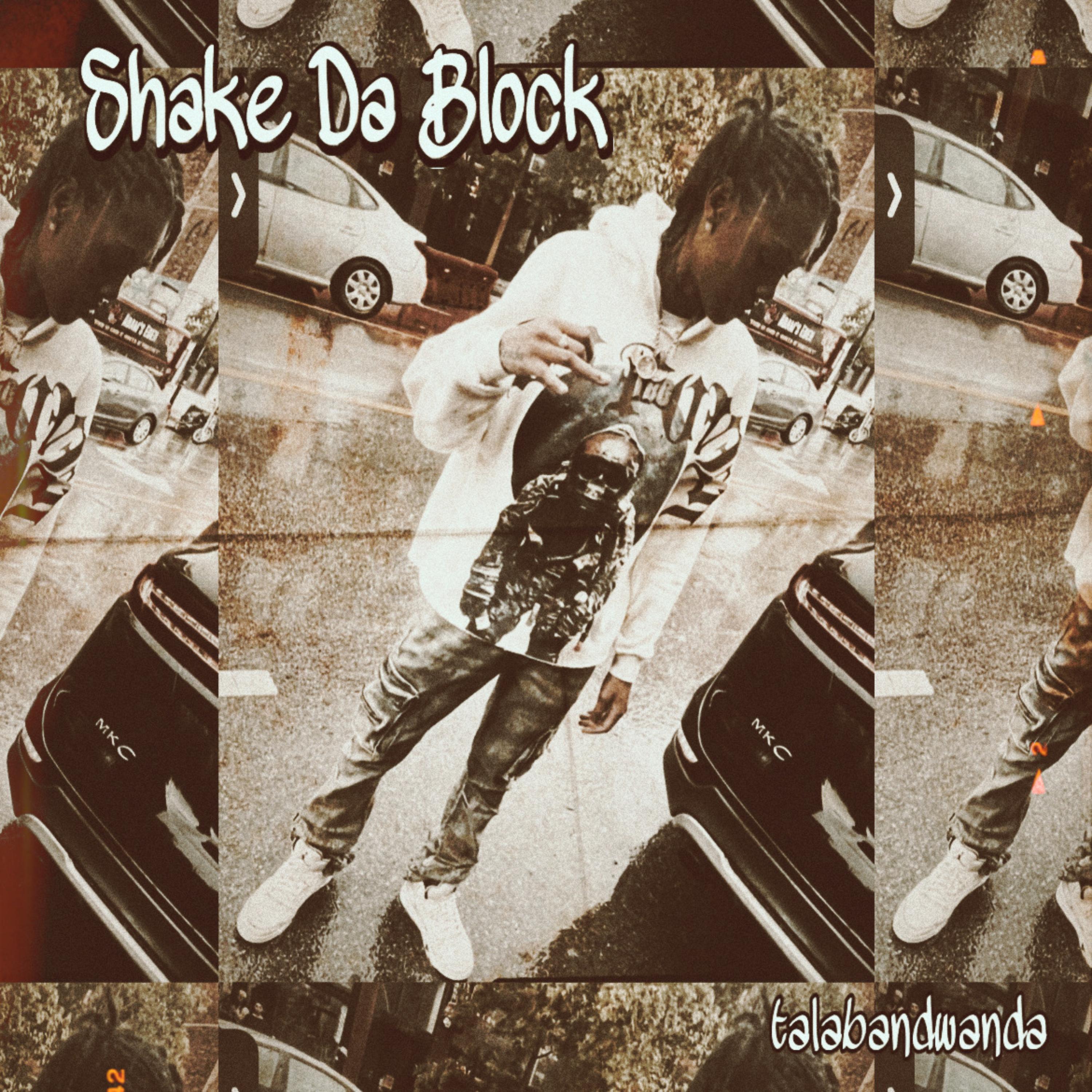 Shake Da Block artwork