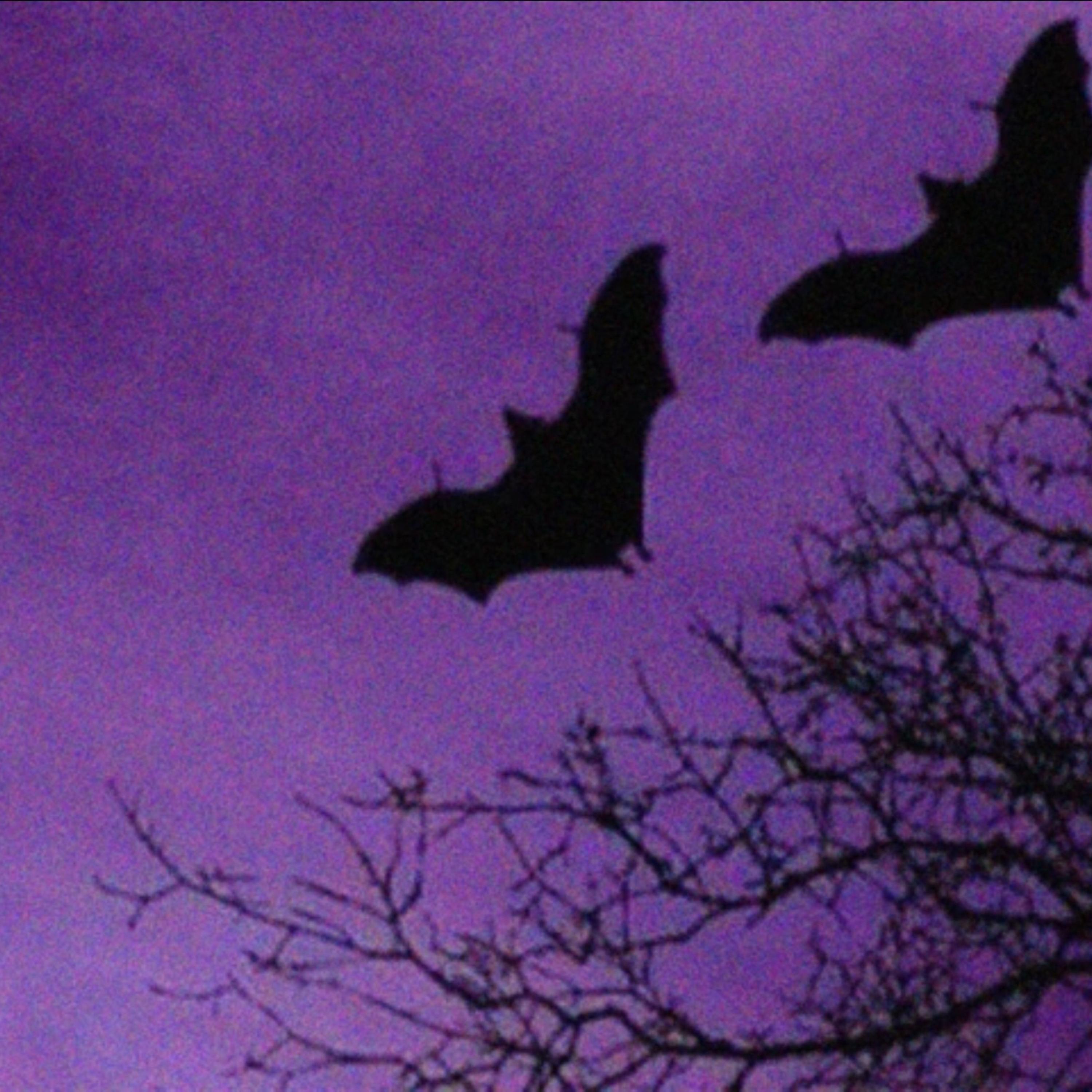 Friday 13th artwork