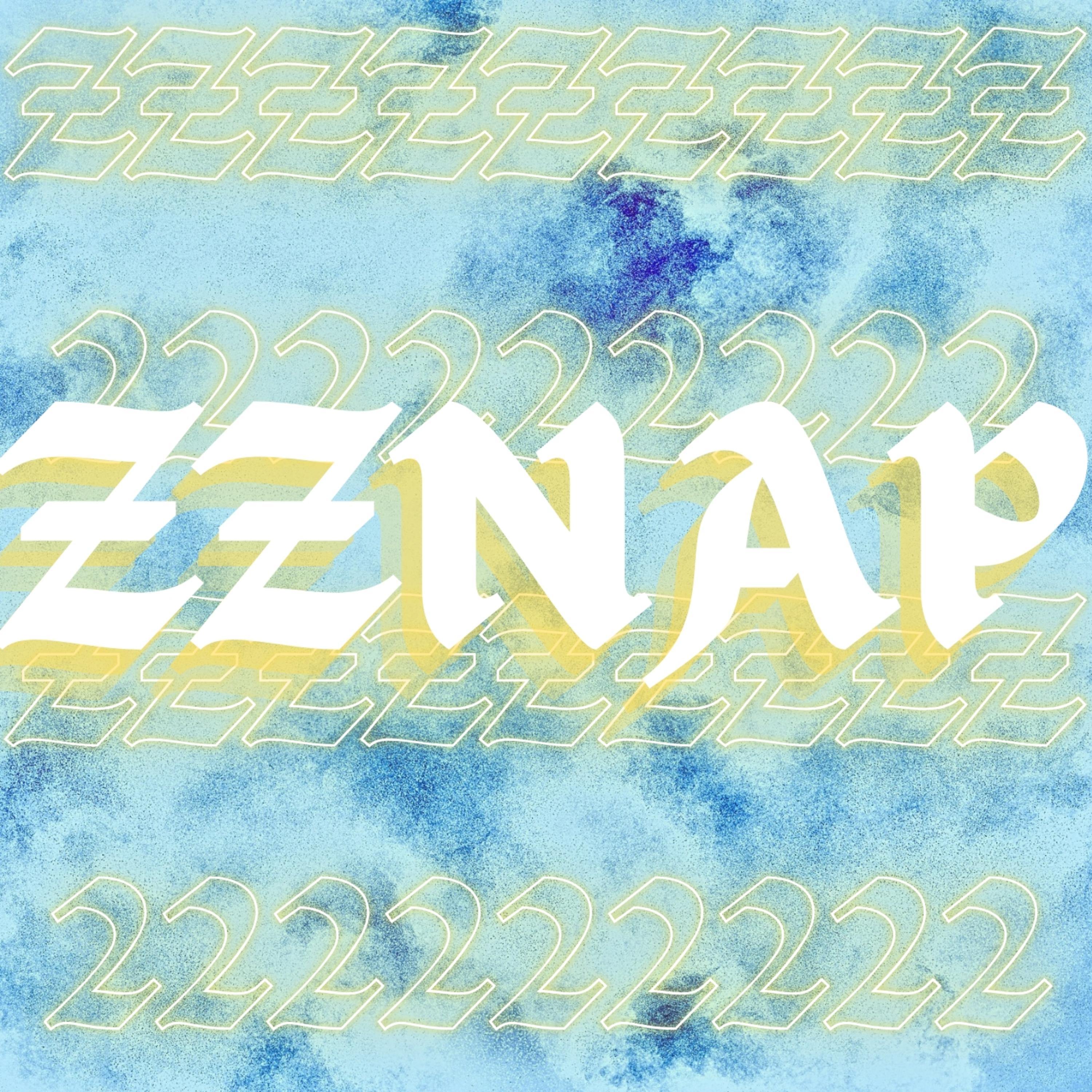 ZZNAP artwork