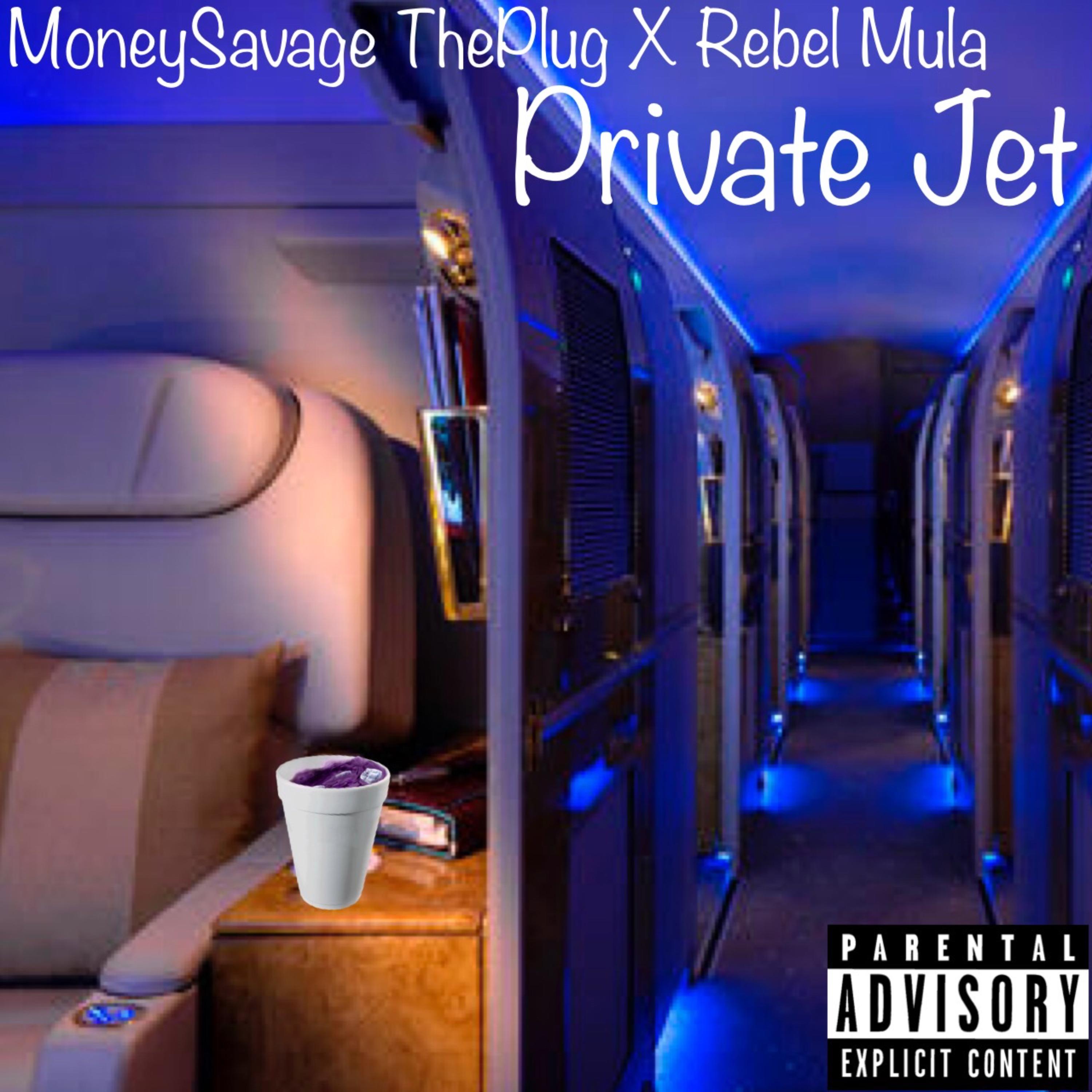 Private Jet by MoneySavage ThePlug cover art