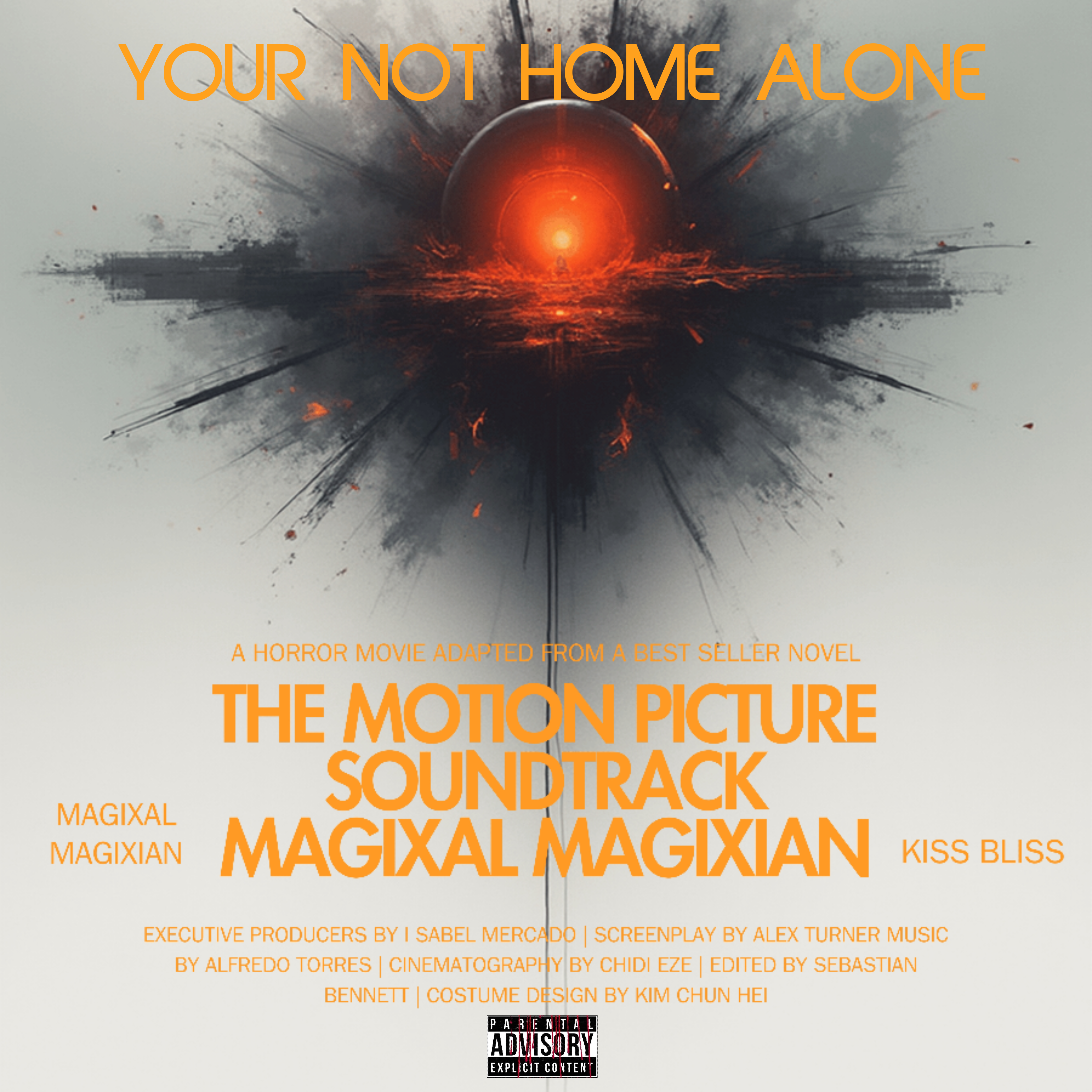 Your Not Home Alone artwork