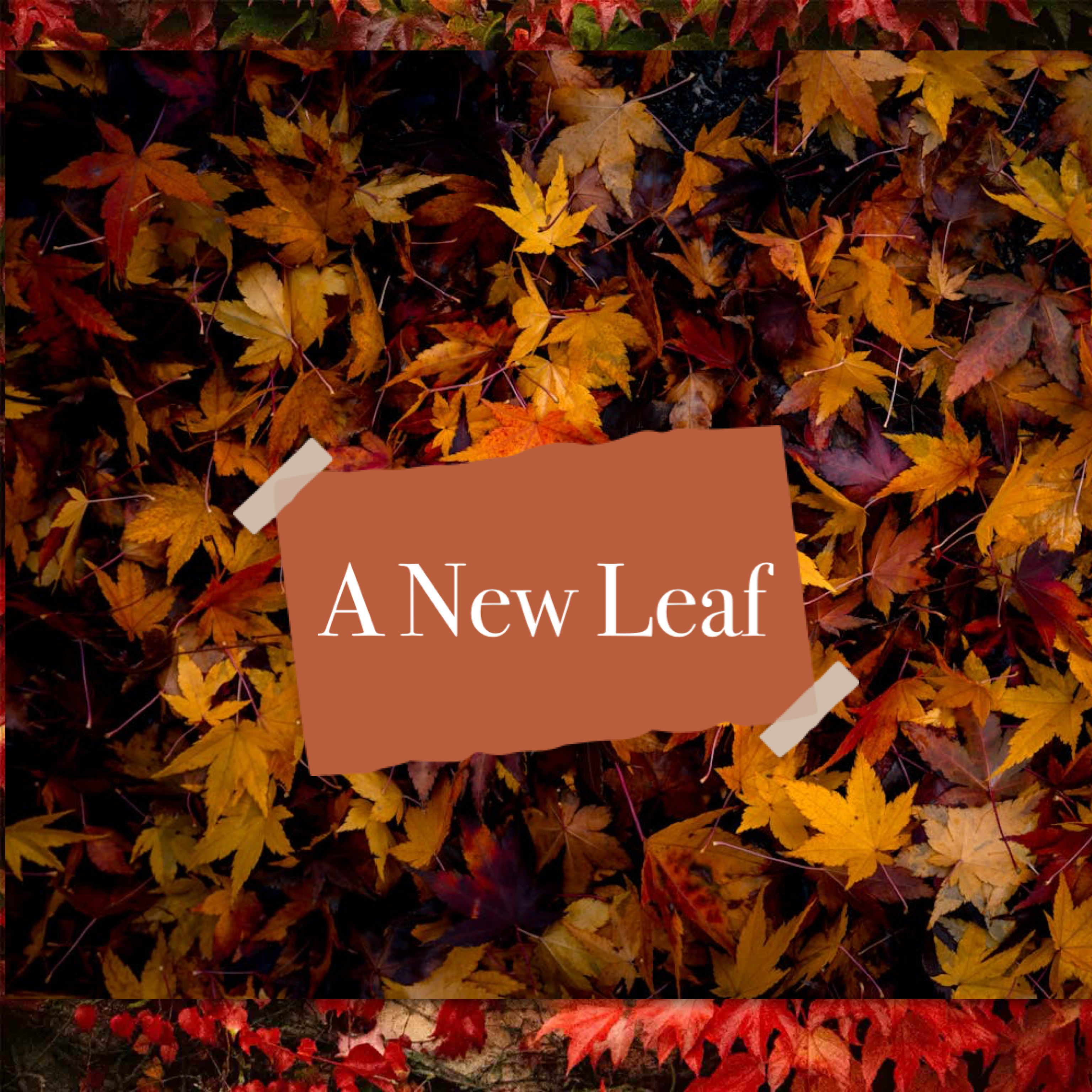 A New Leaf artwork