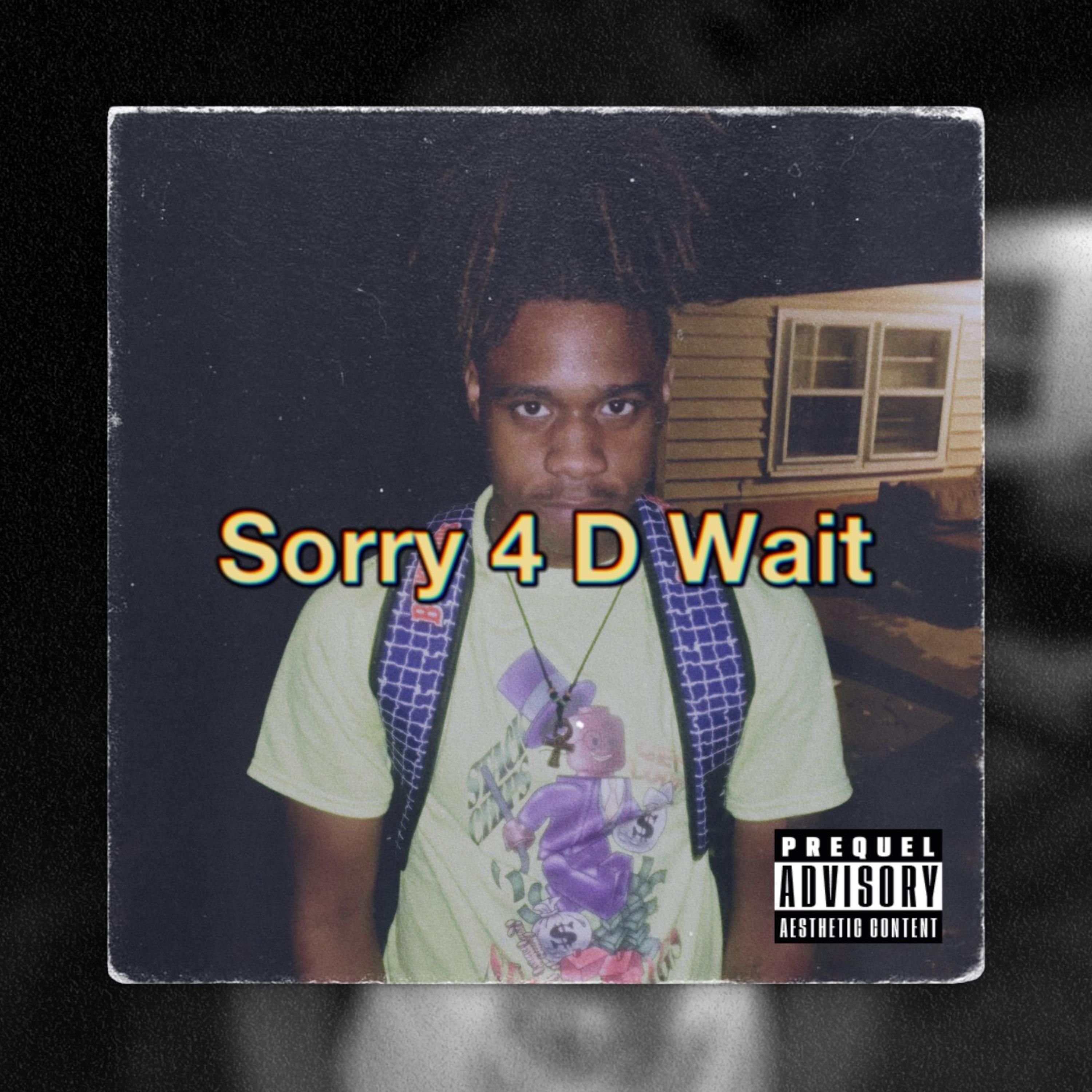 Sorry 4 D Wait artwork