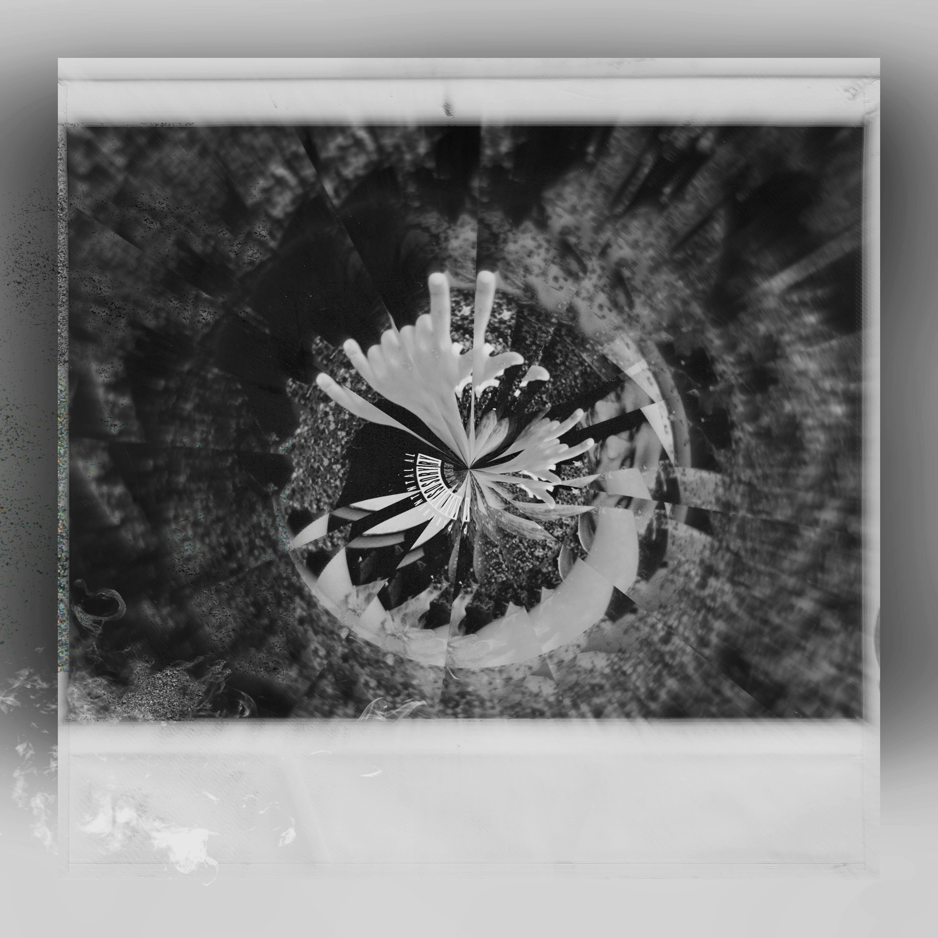 My Music artwork