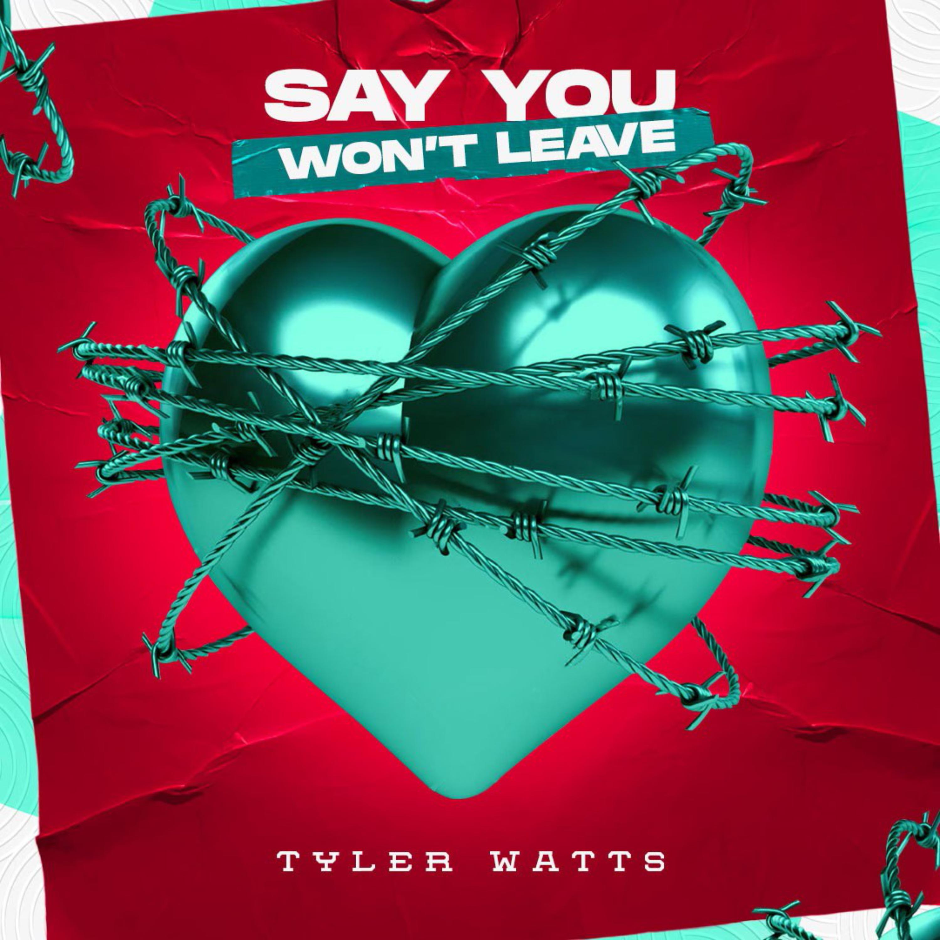 Say You Won't Leave artwork