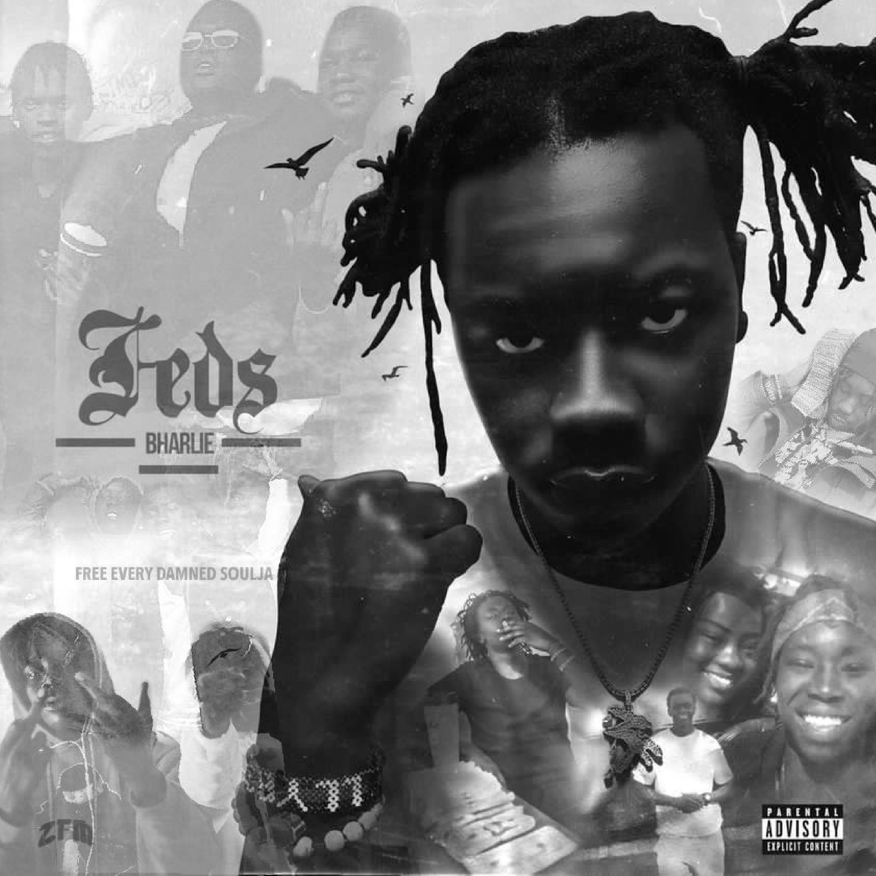 F.E.D.S. by Bharlie cover art