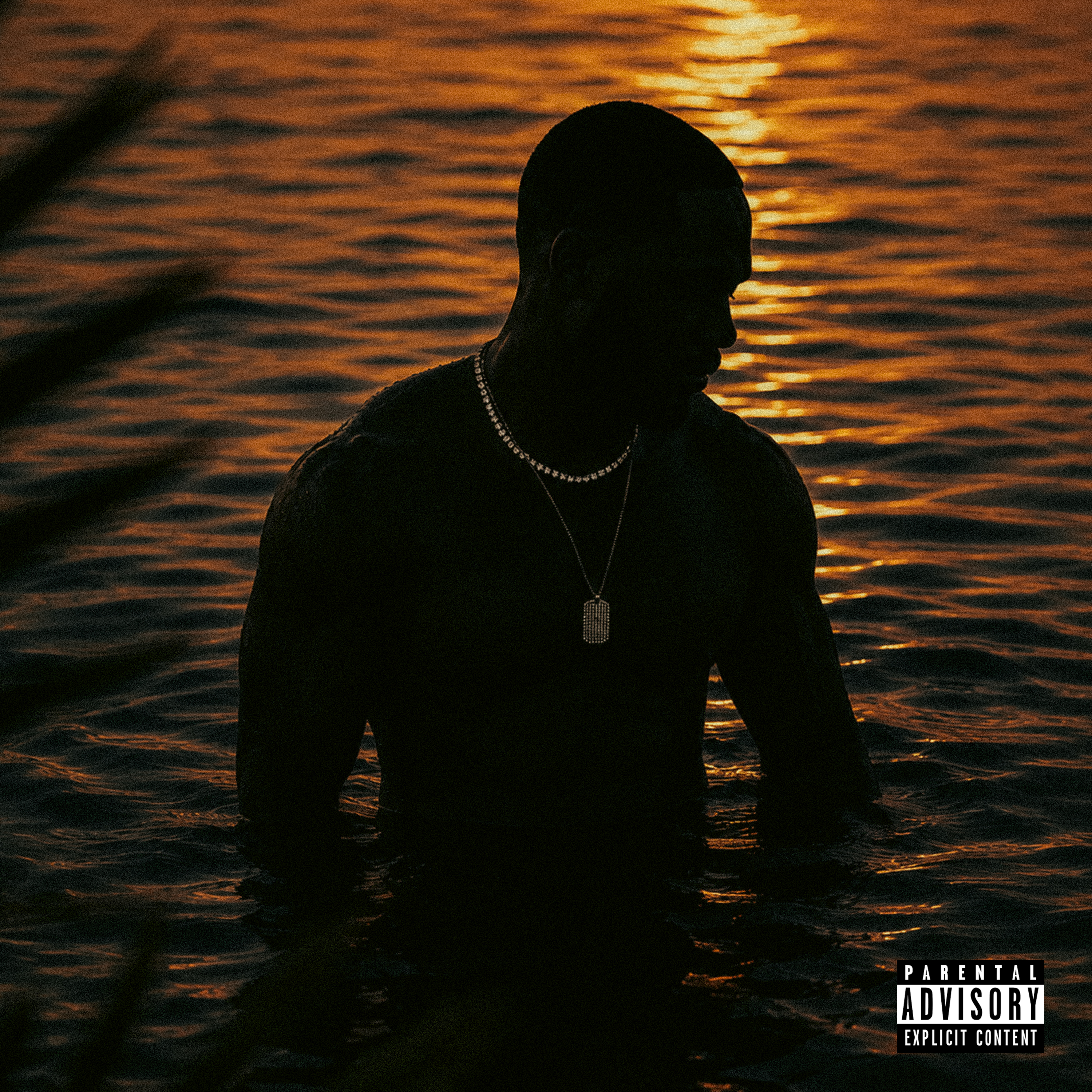 Water Your Life by Tone Levels cover art