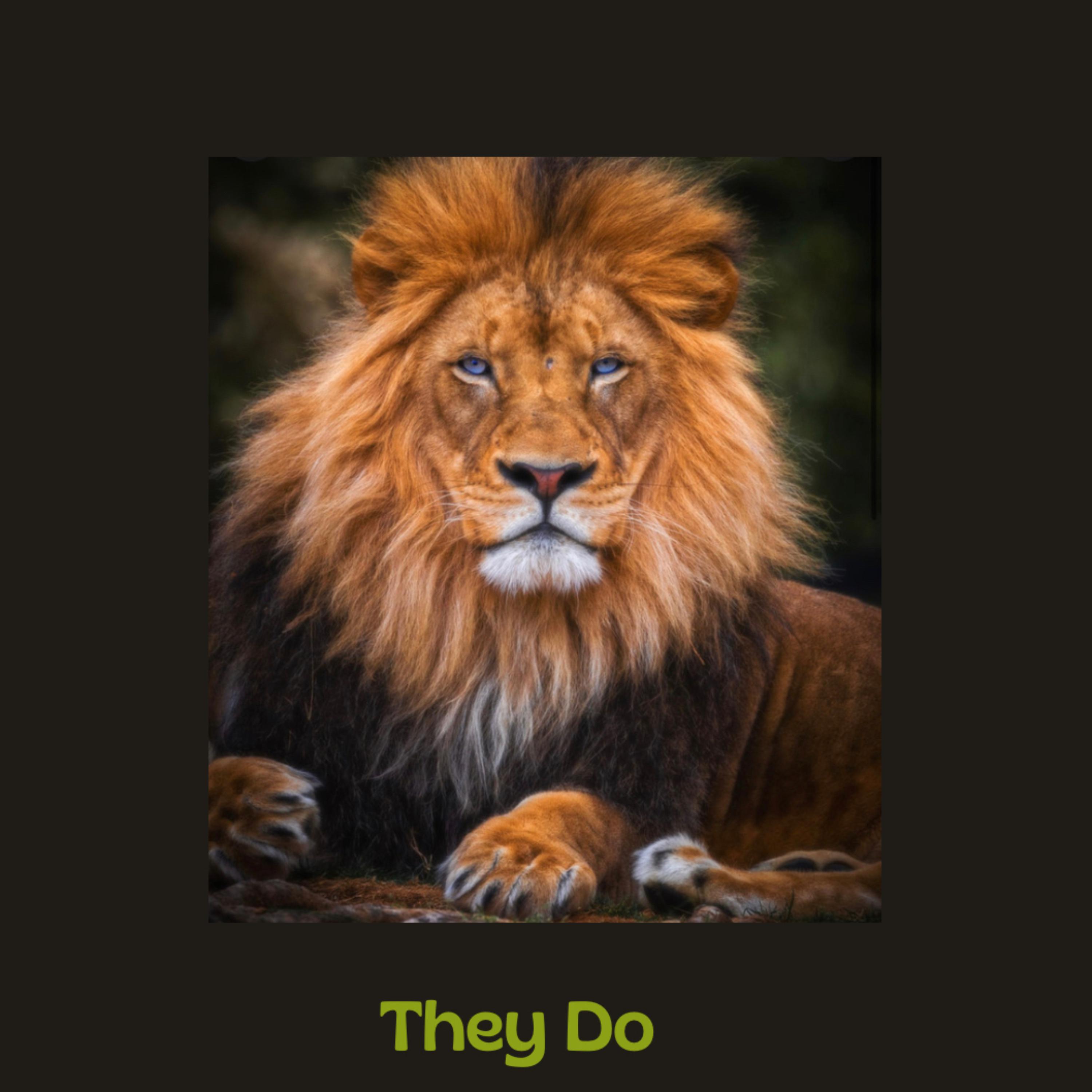 They Do artwork