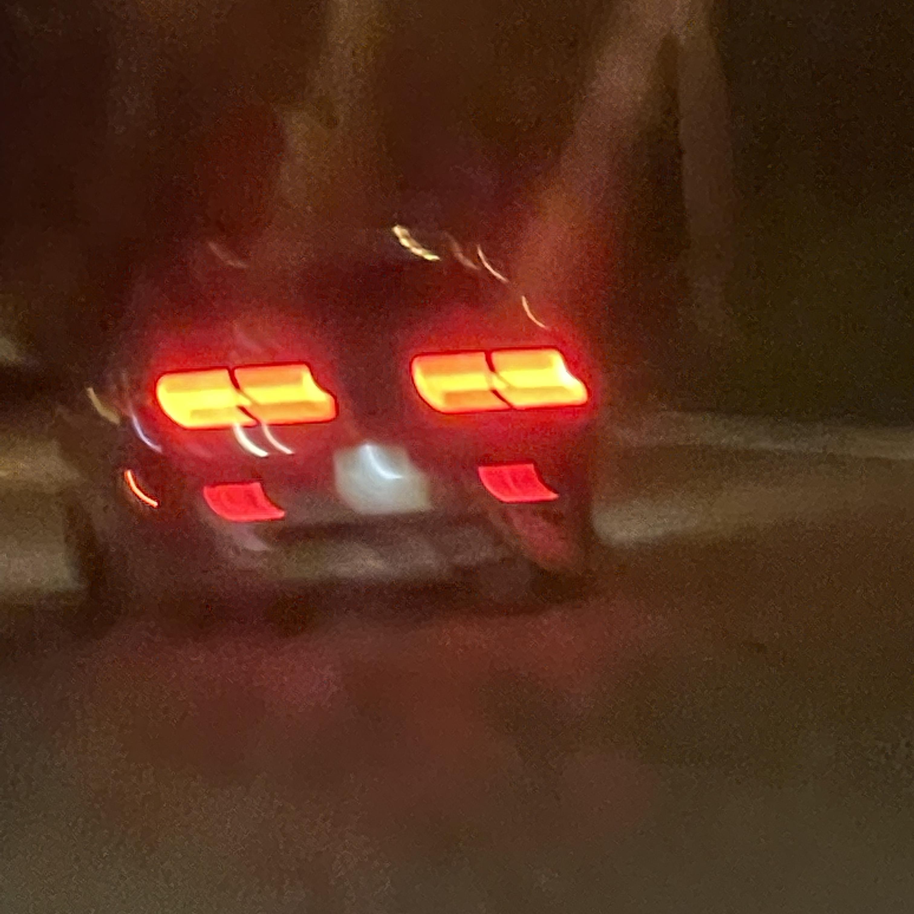 Tap Dat Bumper! artwork