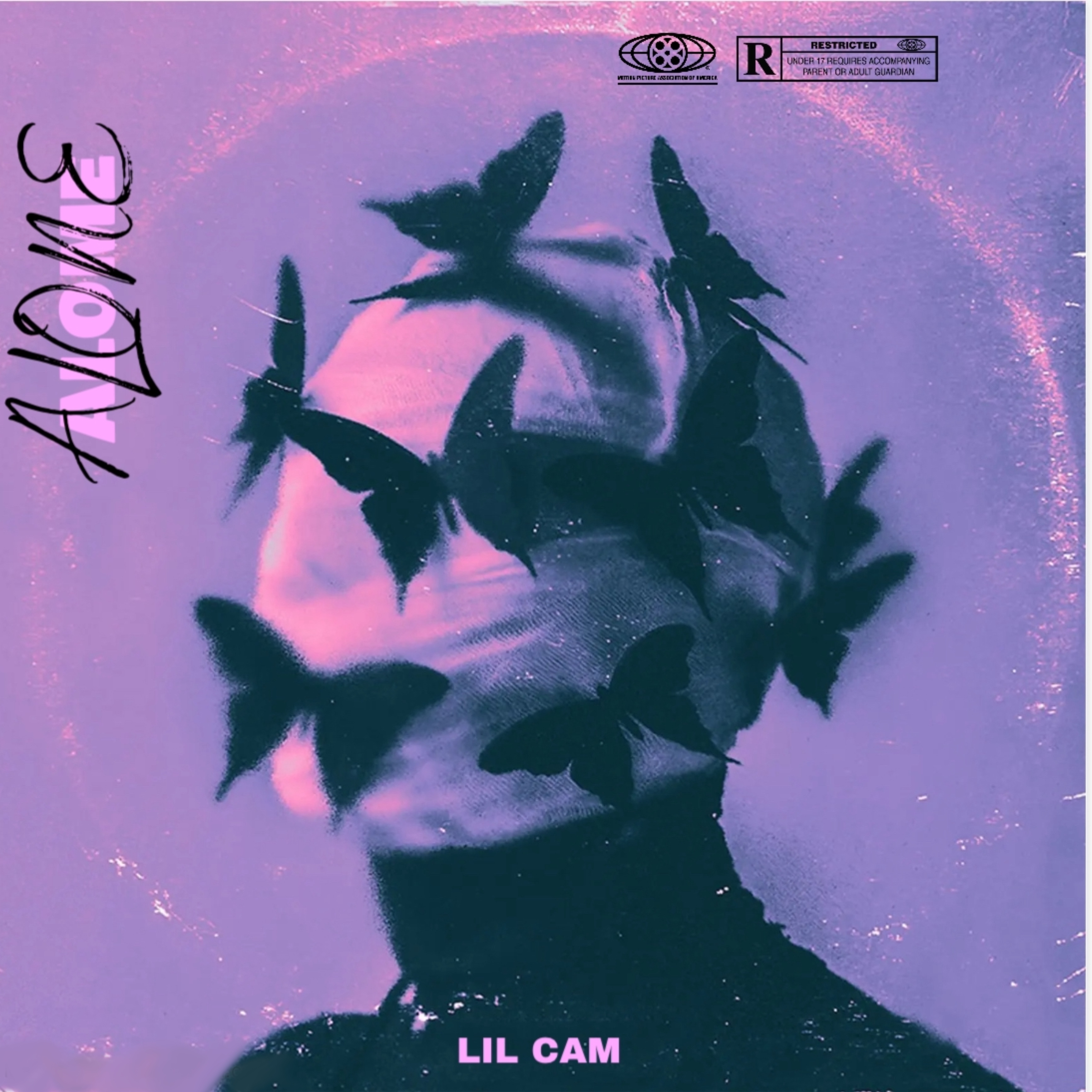 Alone artwork