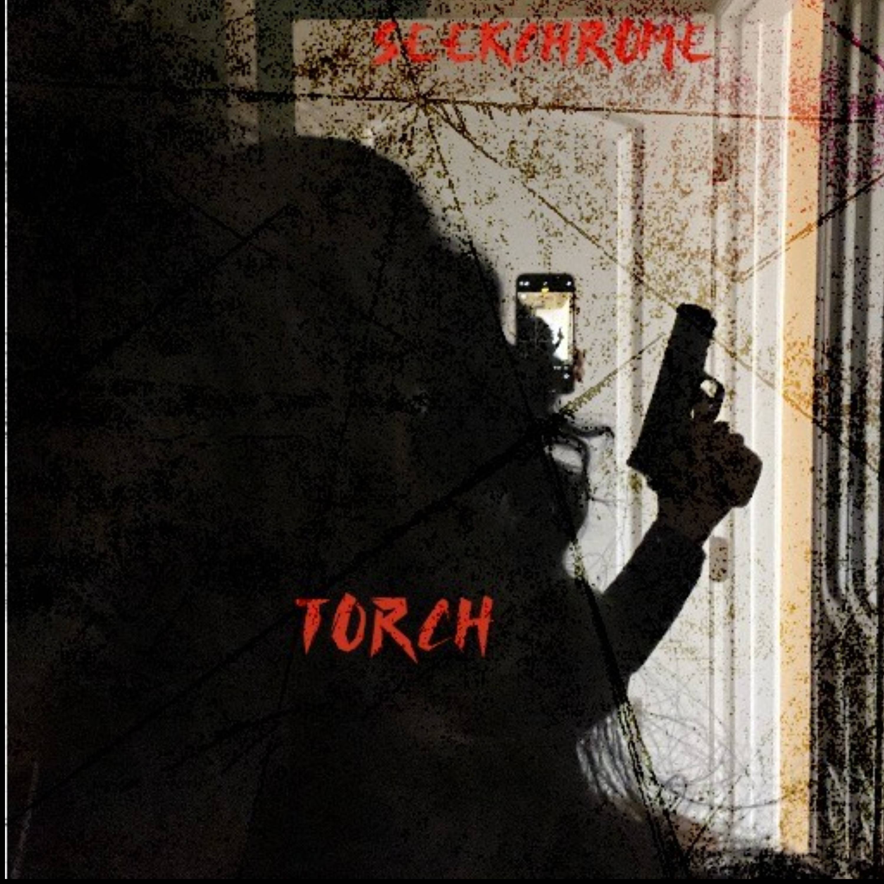 TORCH artwork
