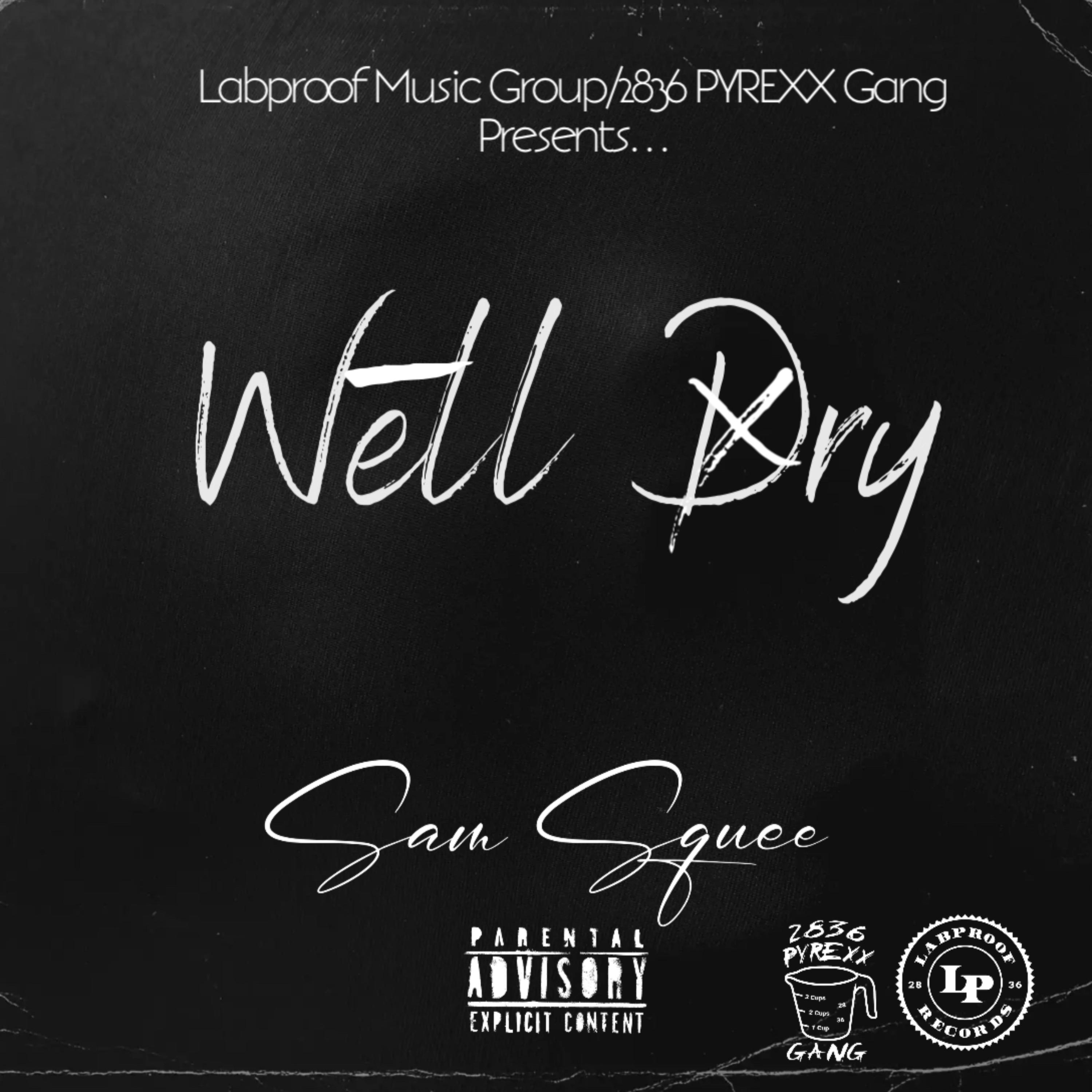 Well Dry by Sam Squee cover art