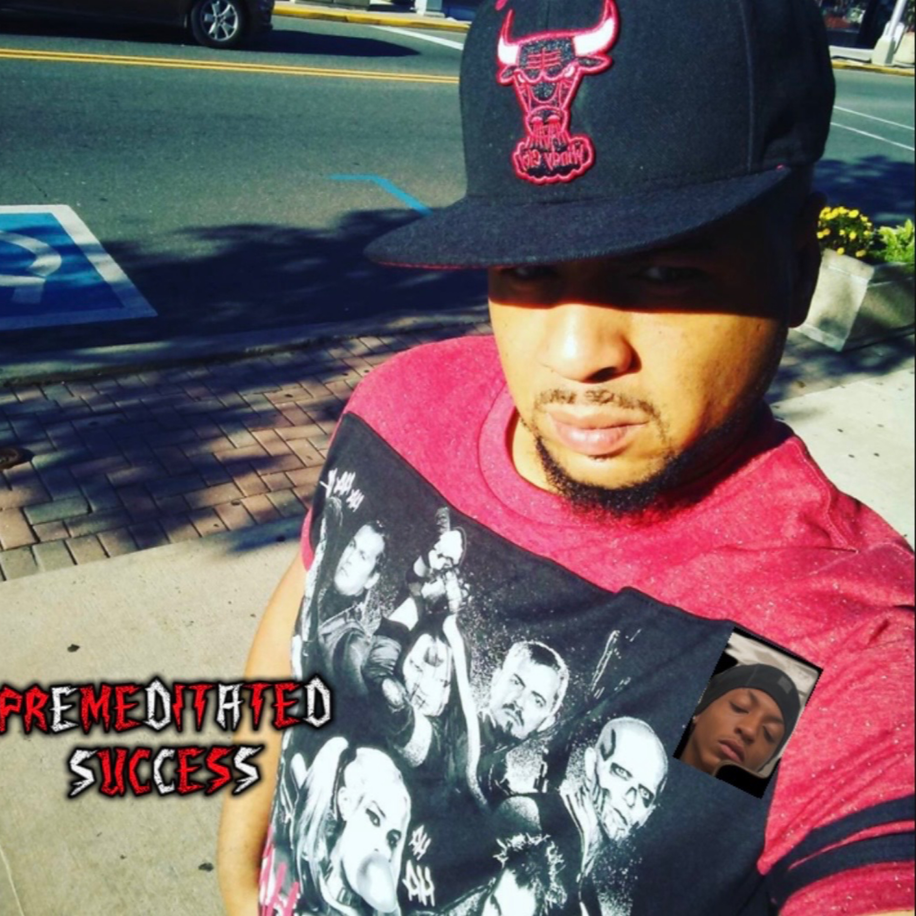 Premeditated Success artwork
