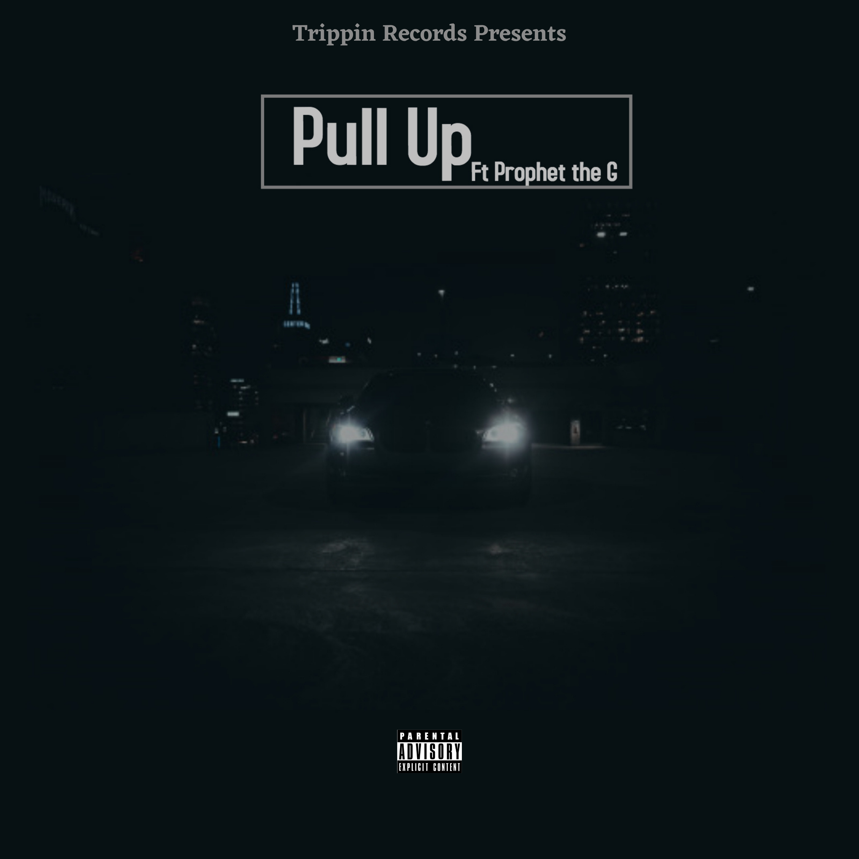 Pull Up(Remix) artwork