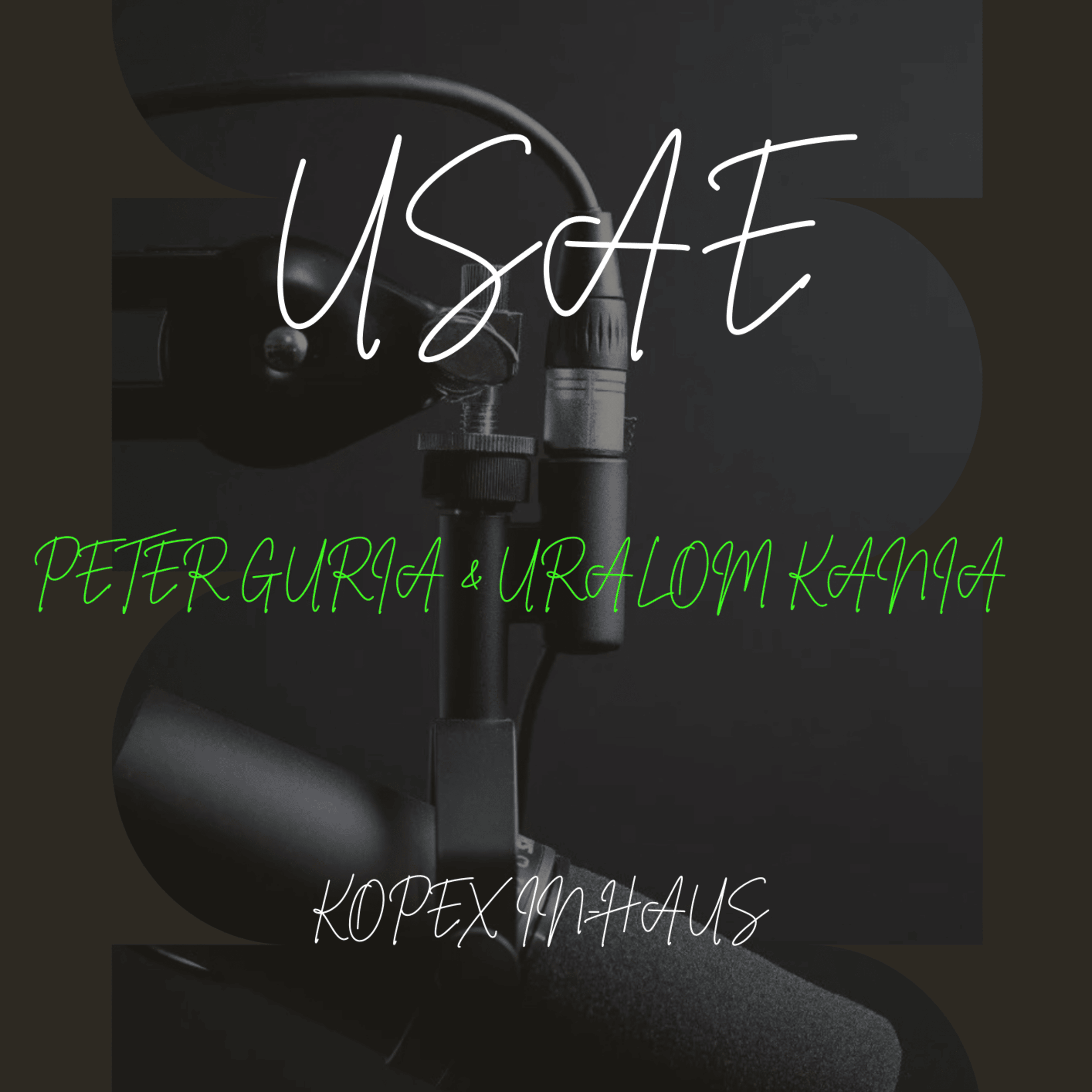 Usae artwork