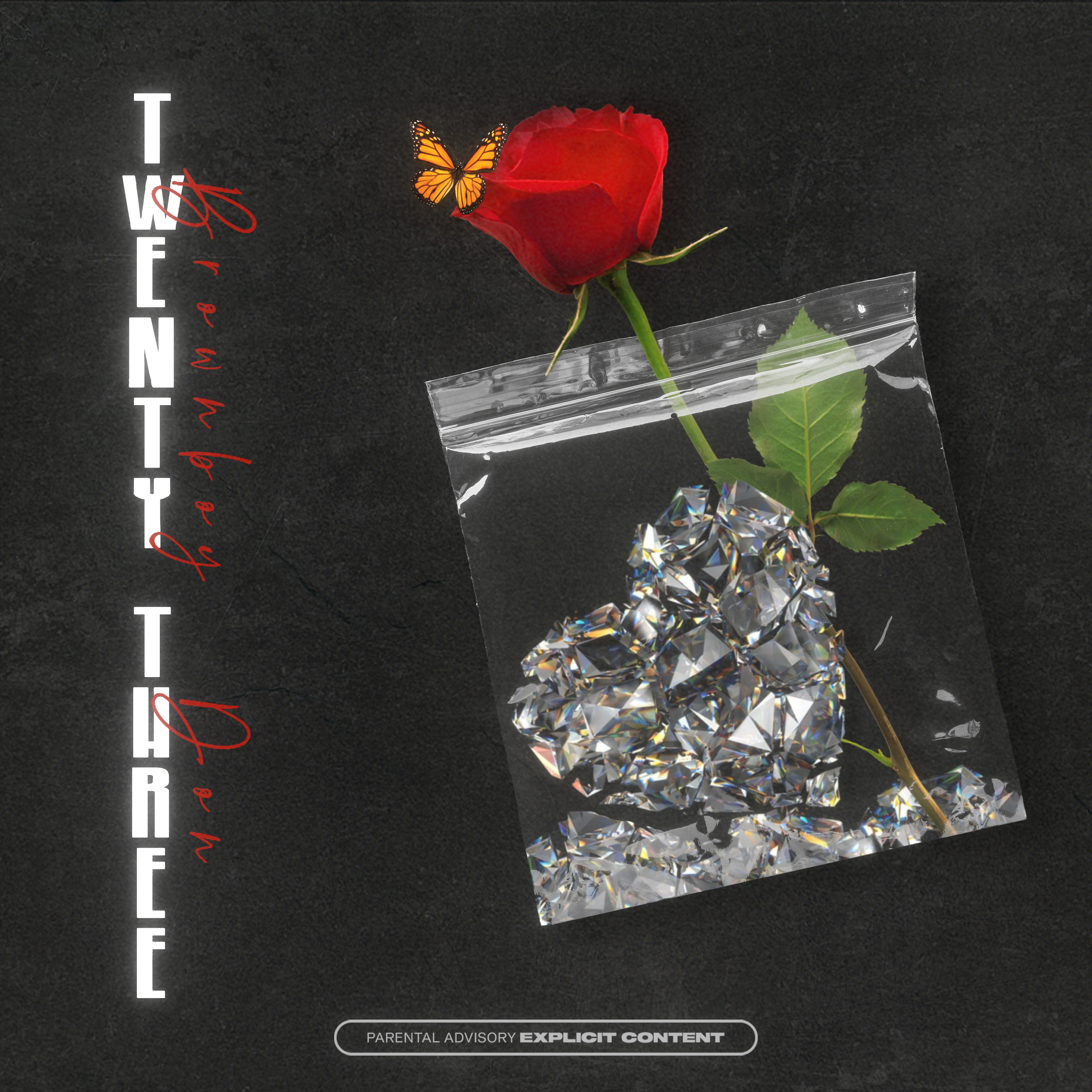 Twenty Three by BrownBoy Don  cover art