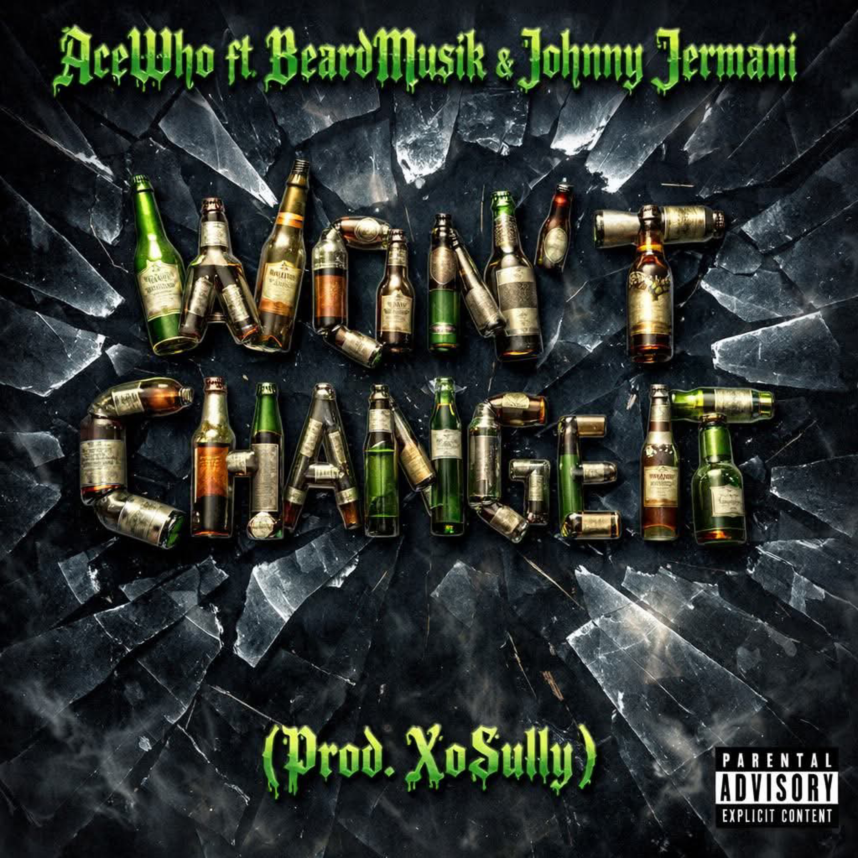 Won’t Change It artwork