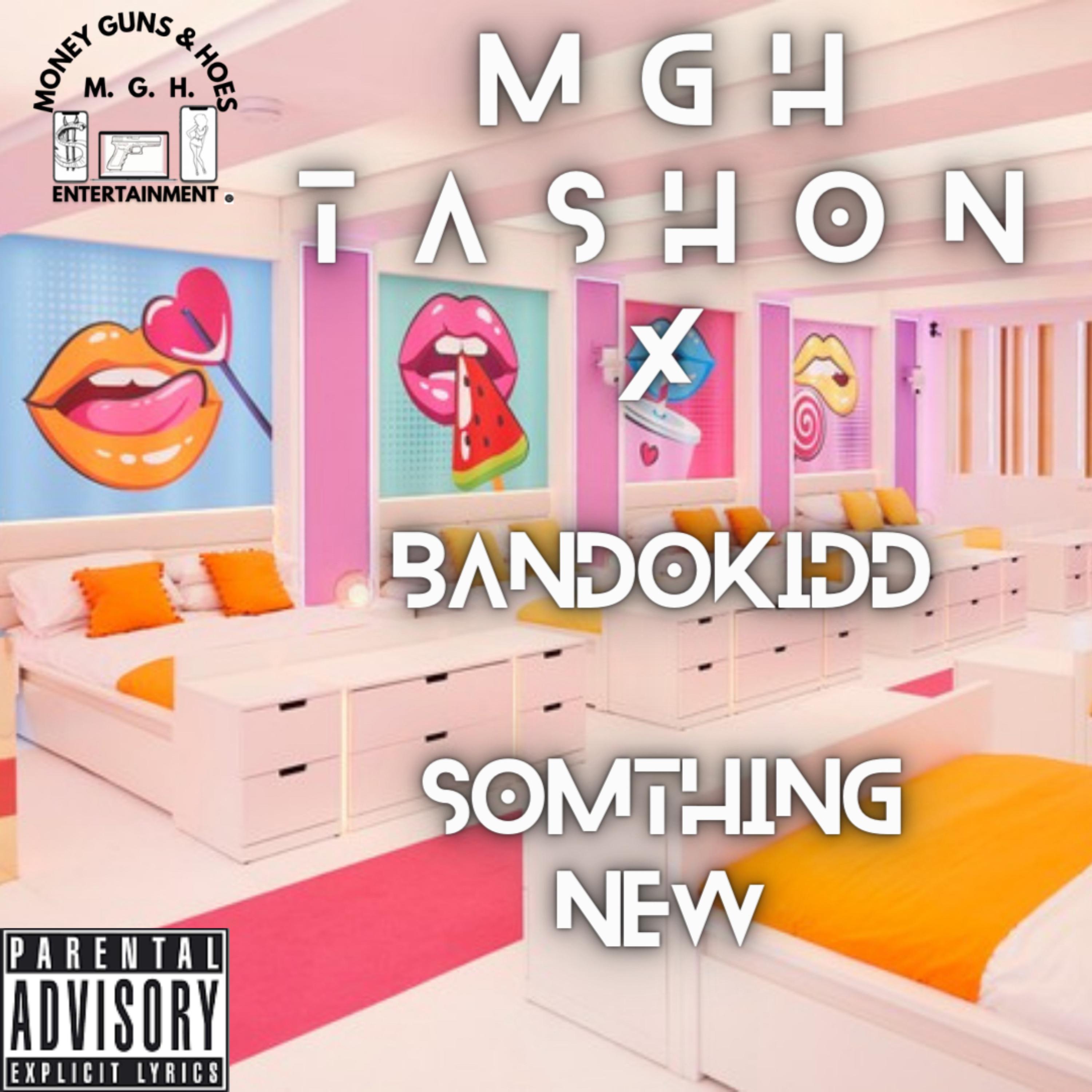 Somthing New artwork