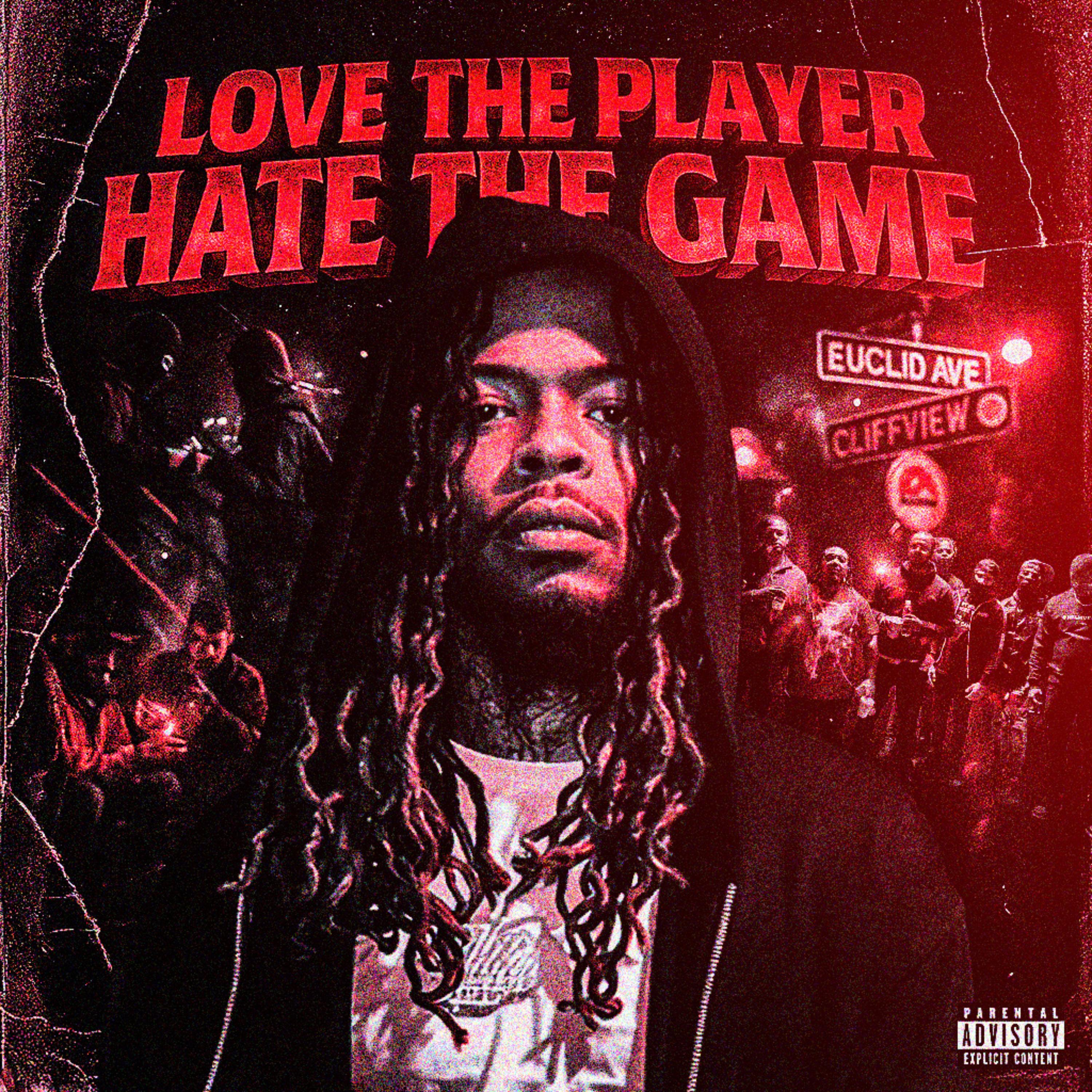LOVE THE PLAYER HATE THE GAME artwork