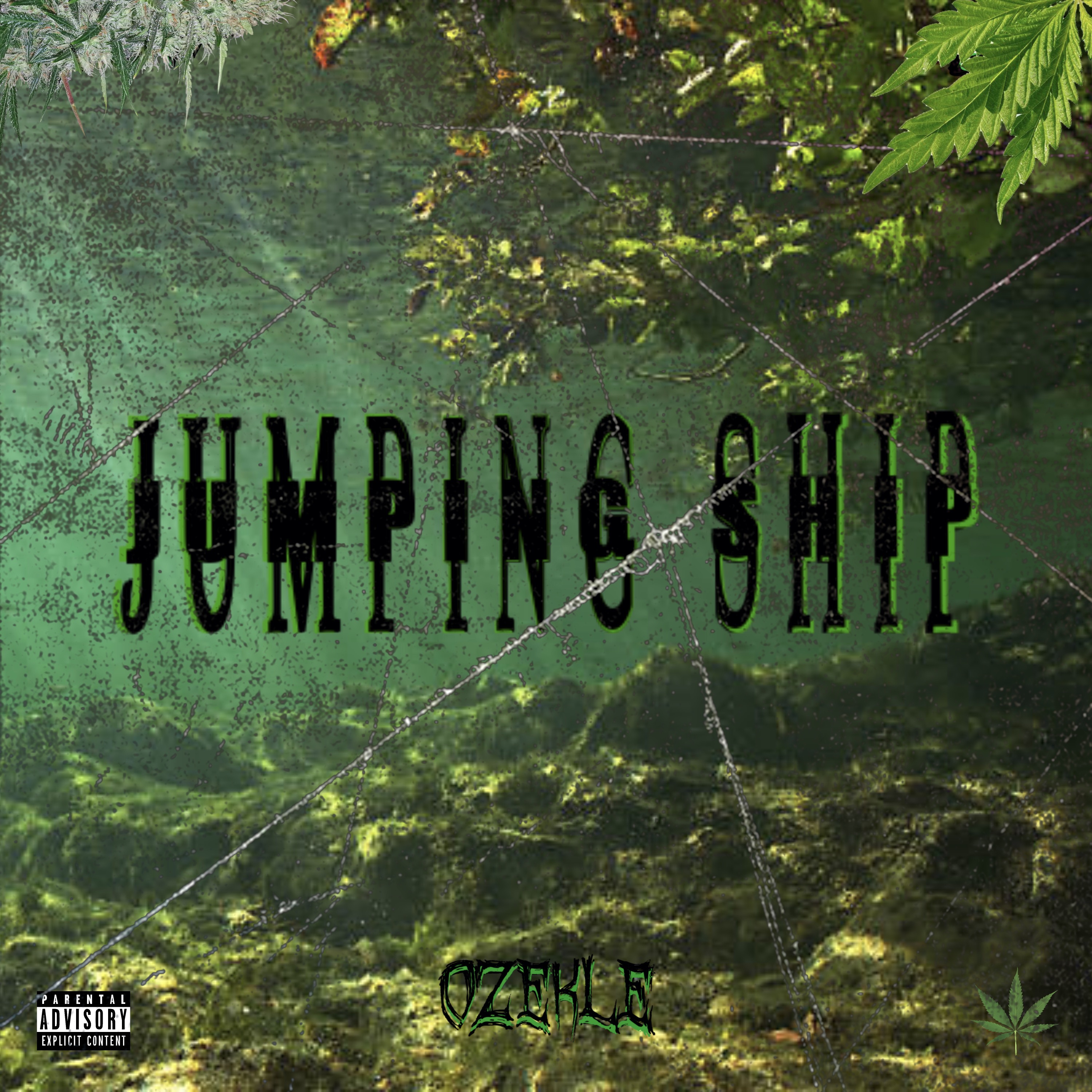 JumpingShip artwork