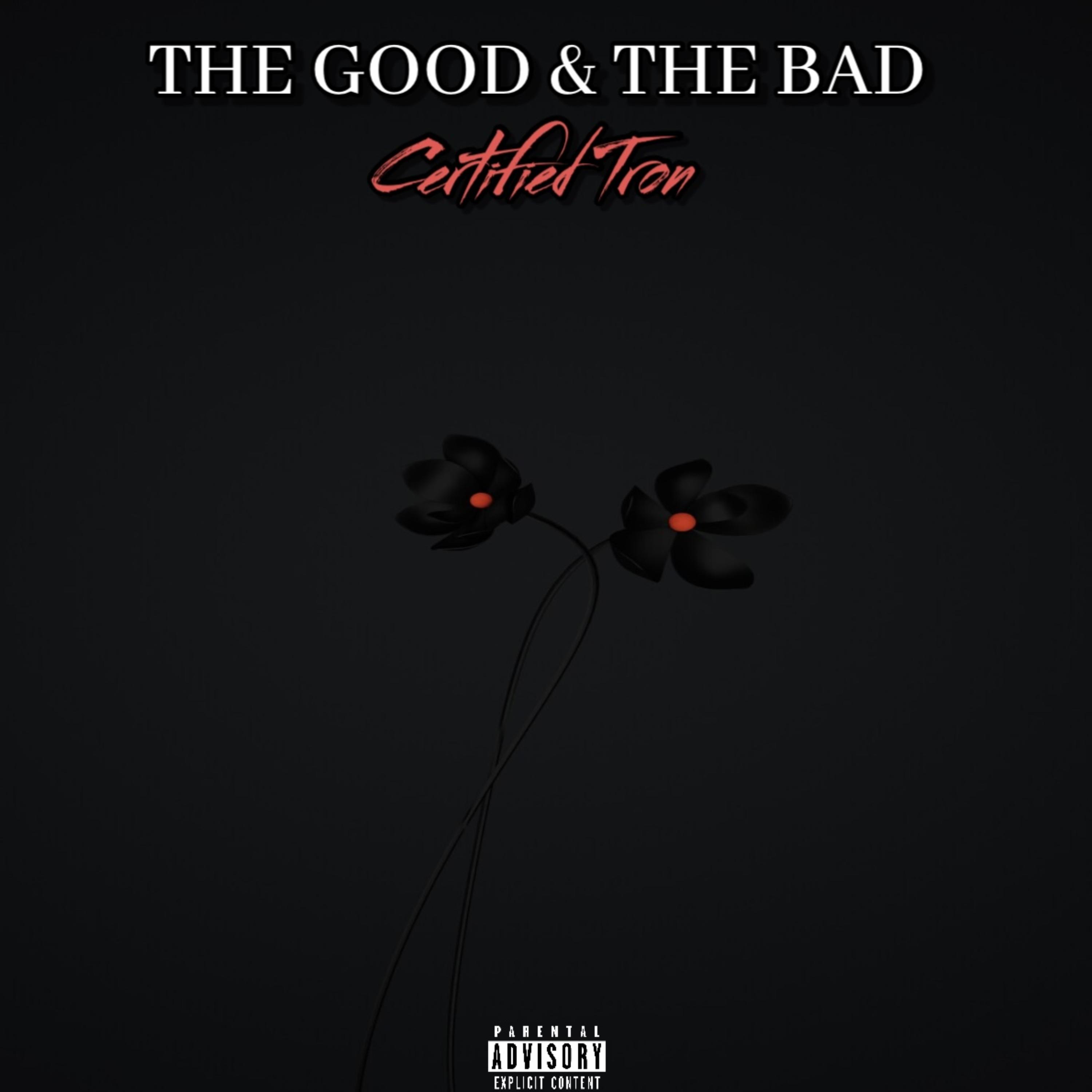 The Good And The Bad artwork