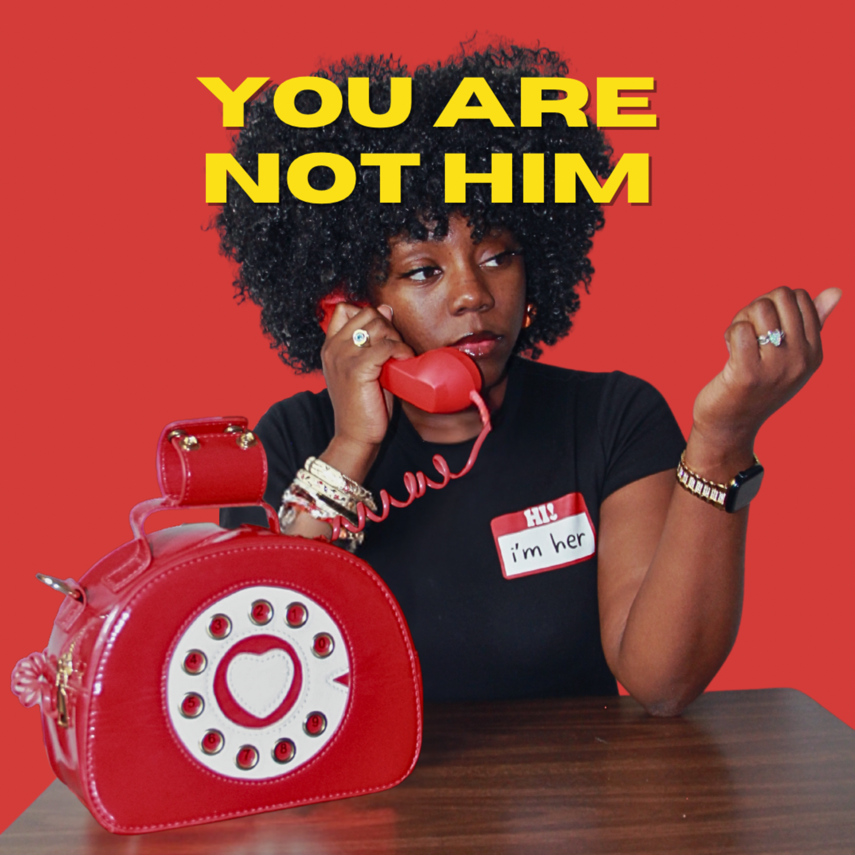 you are NOT him artwork